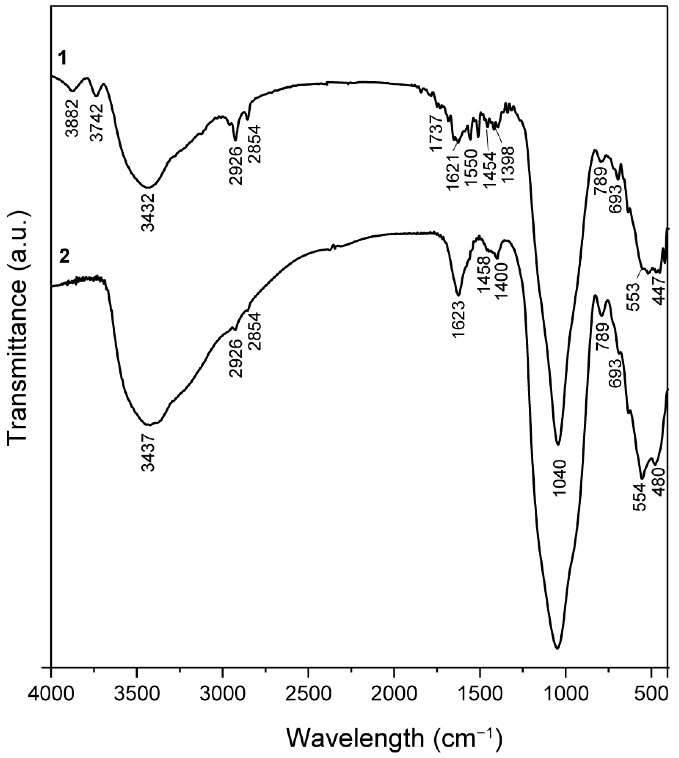 Molecules 29 01190 g004