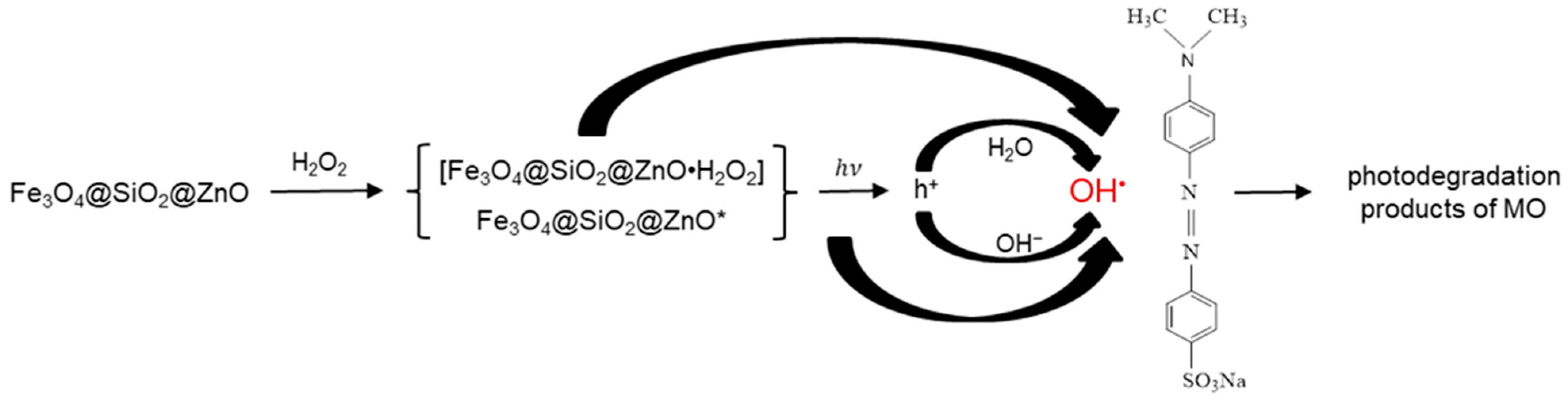 Molecules 29 01190 g013