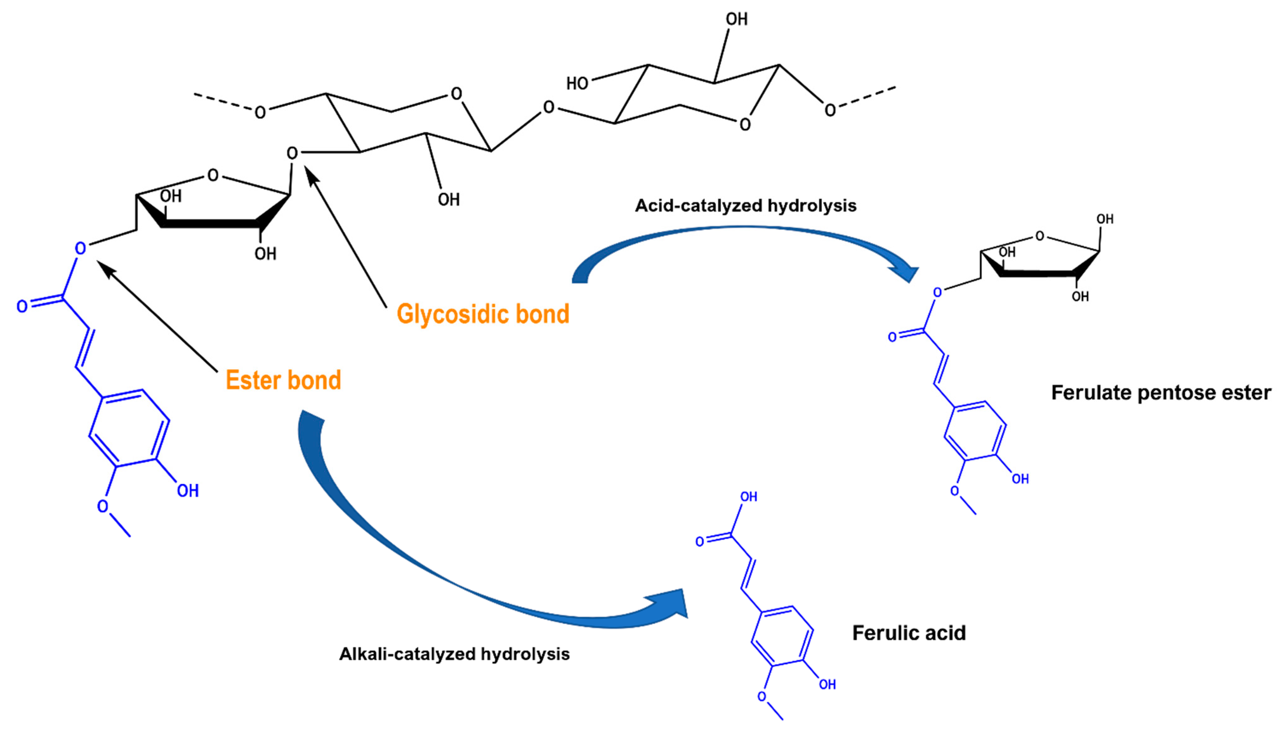 Molecules 29 01193 g004