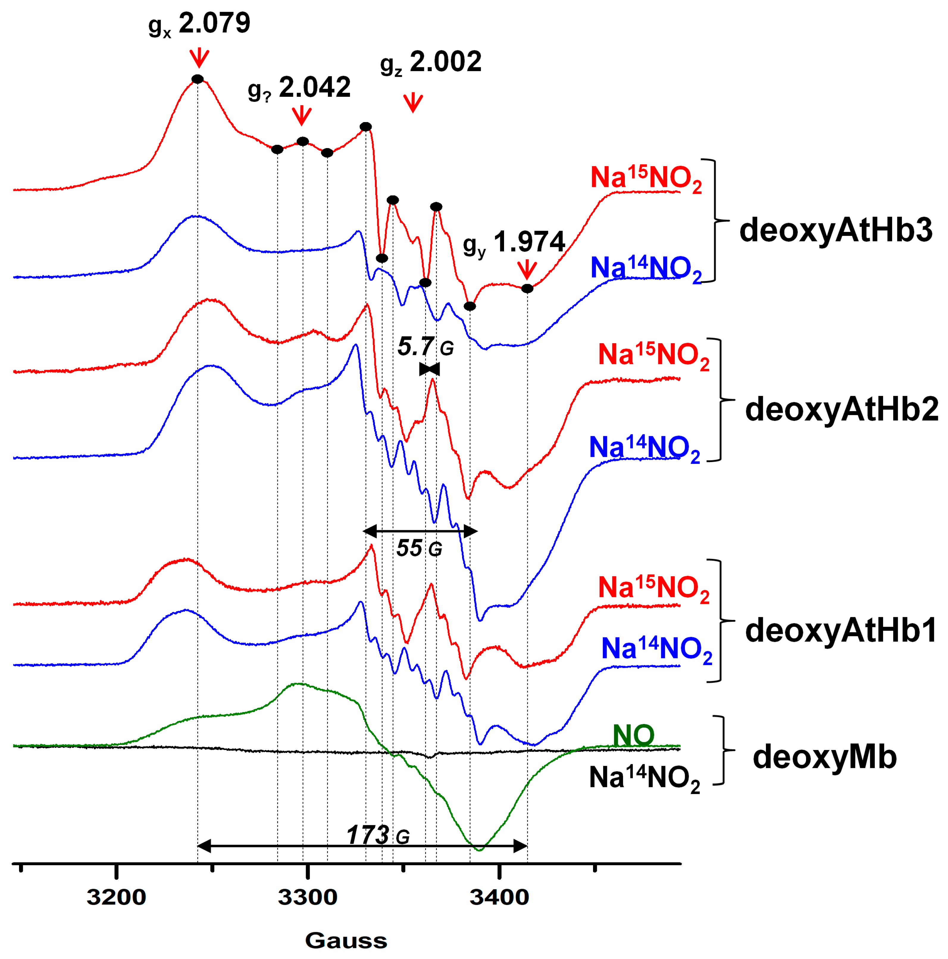 Molecules 29 01200 g007