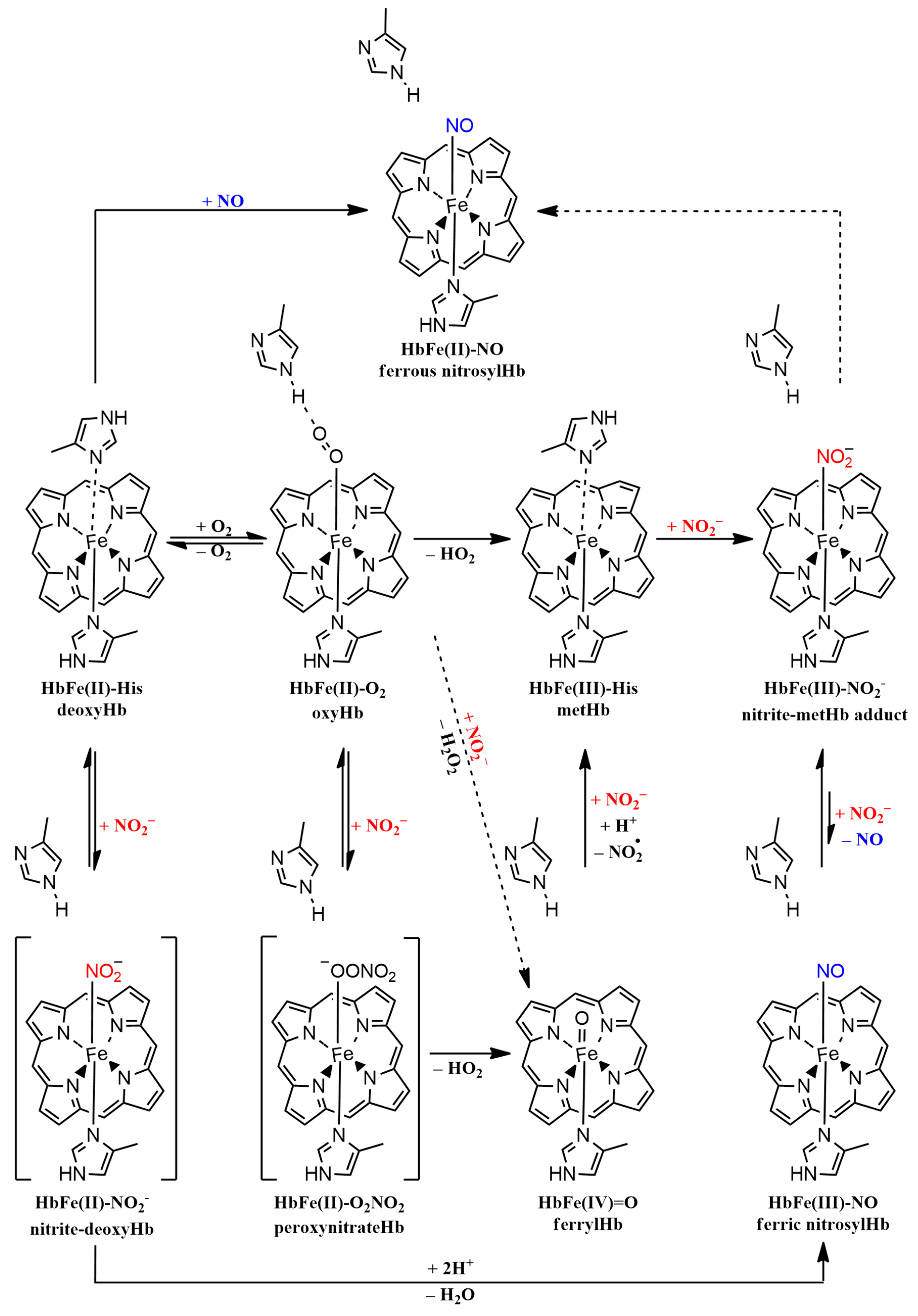 Molecules 29 01200 g008