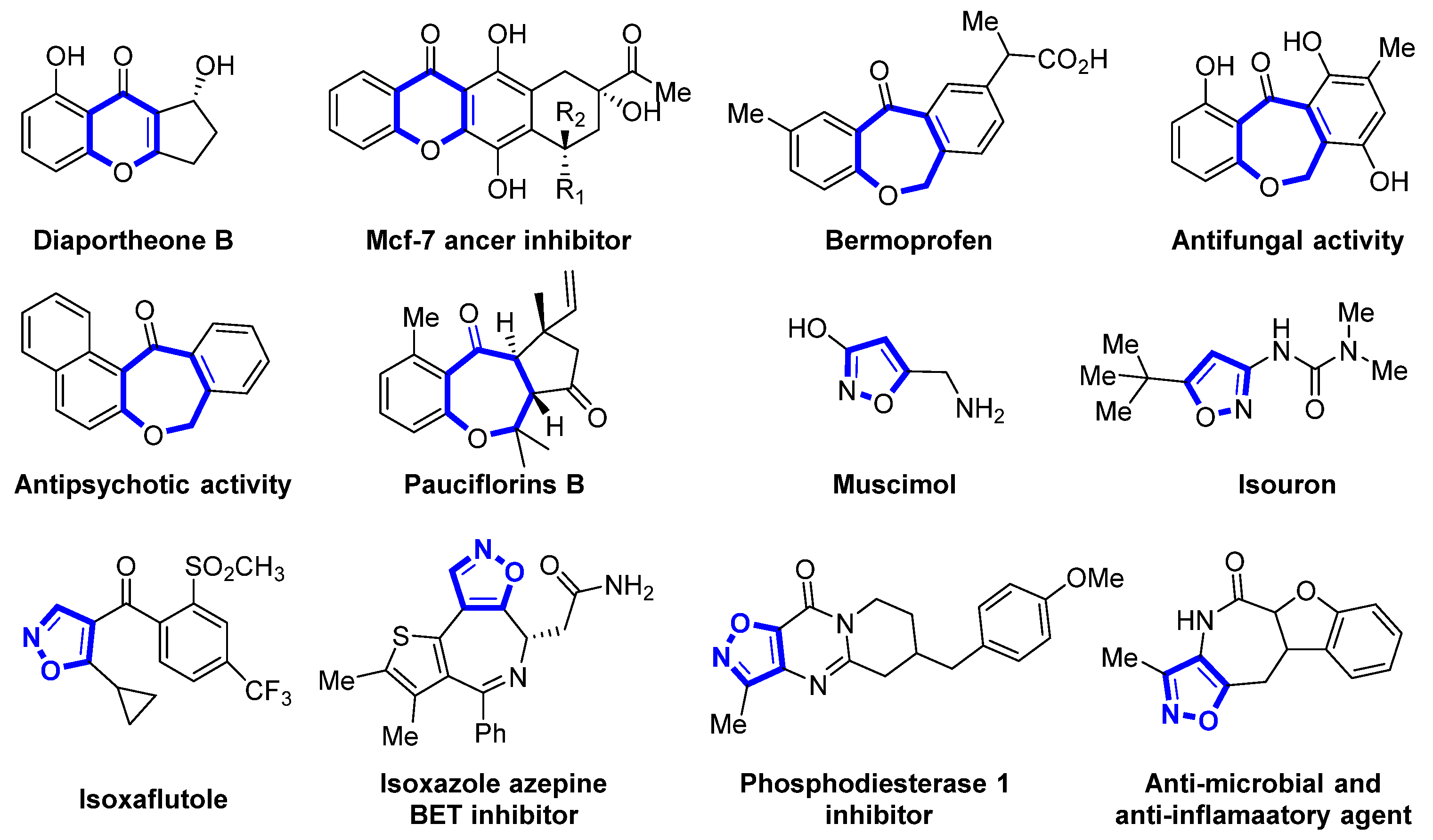 Molecules 29 01202 g001