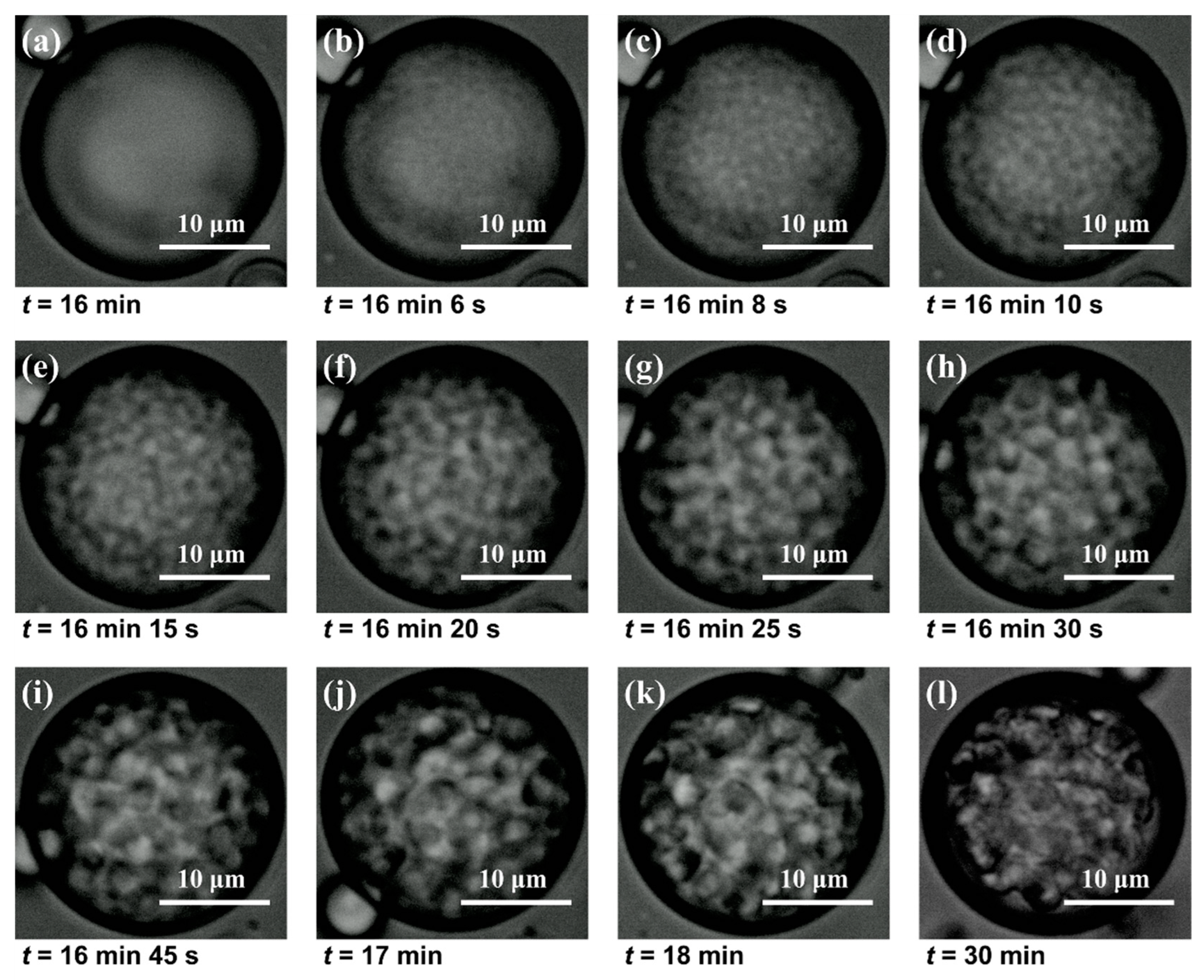 Molecules 29 01204 g007 Molecules 29 01204 g007