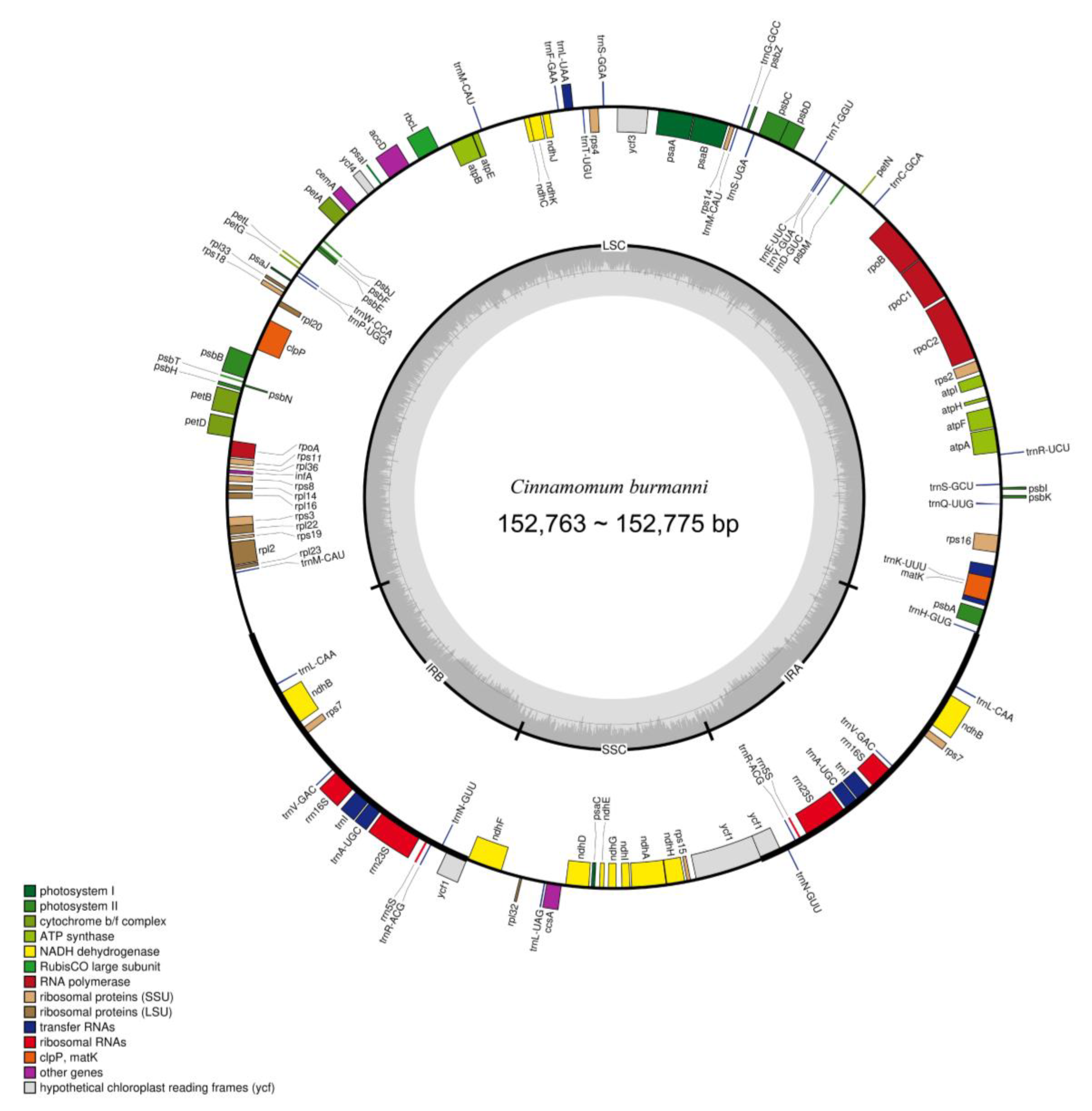 Molecules 29 01206 g003