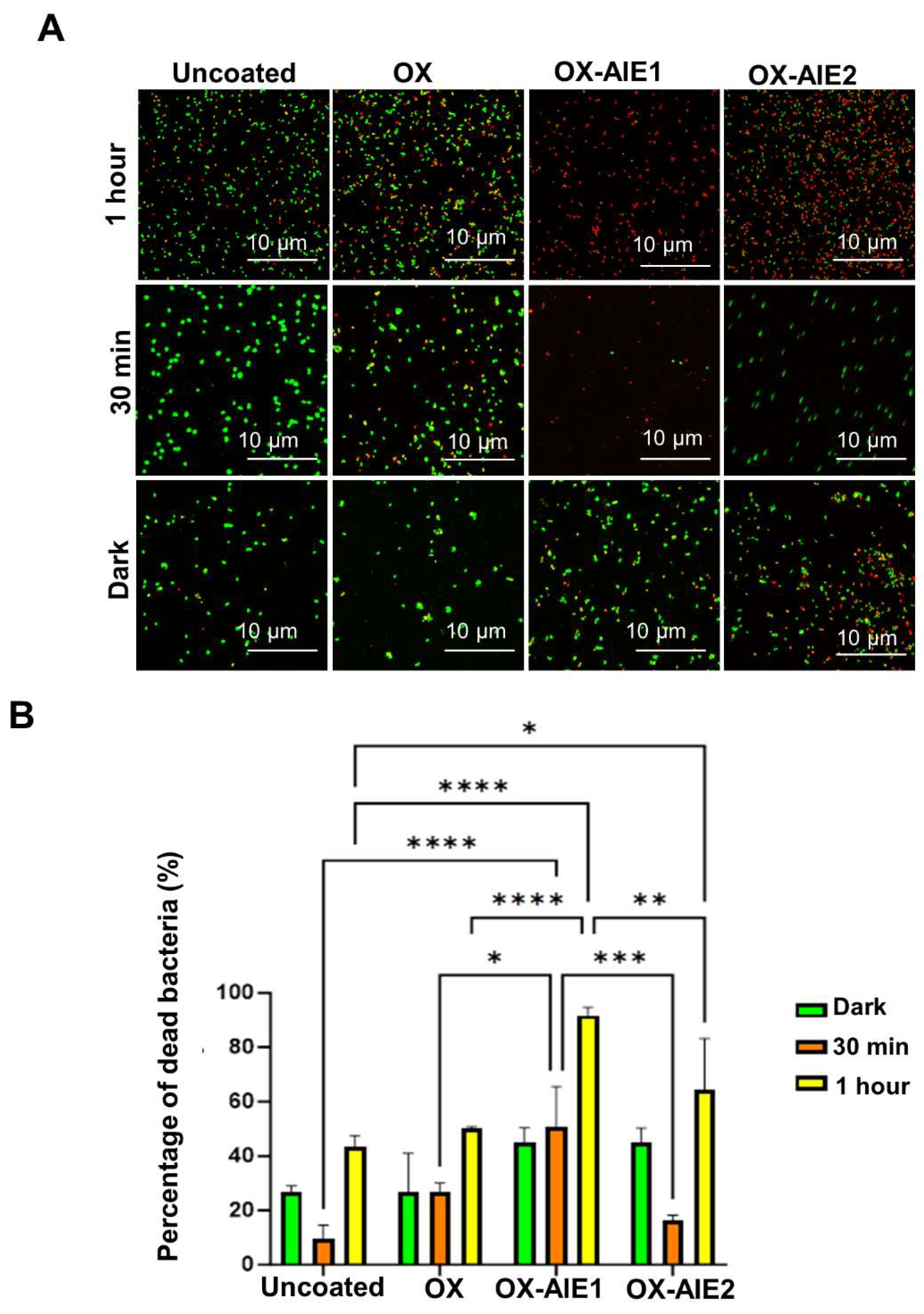 Molecules 29 01209 g003