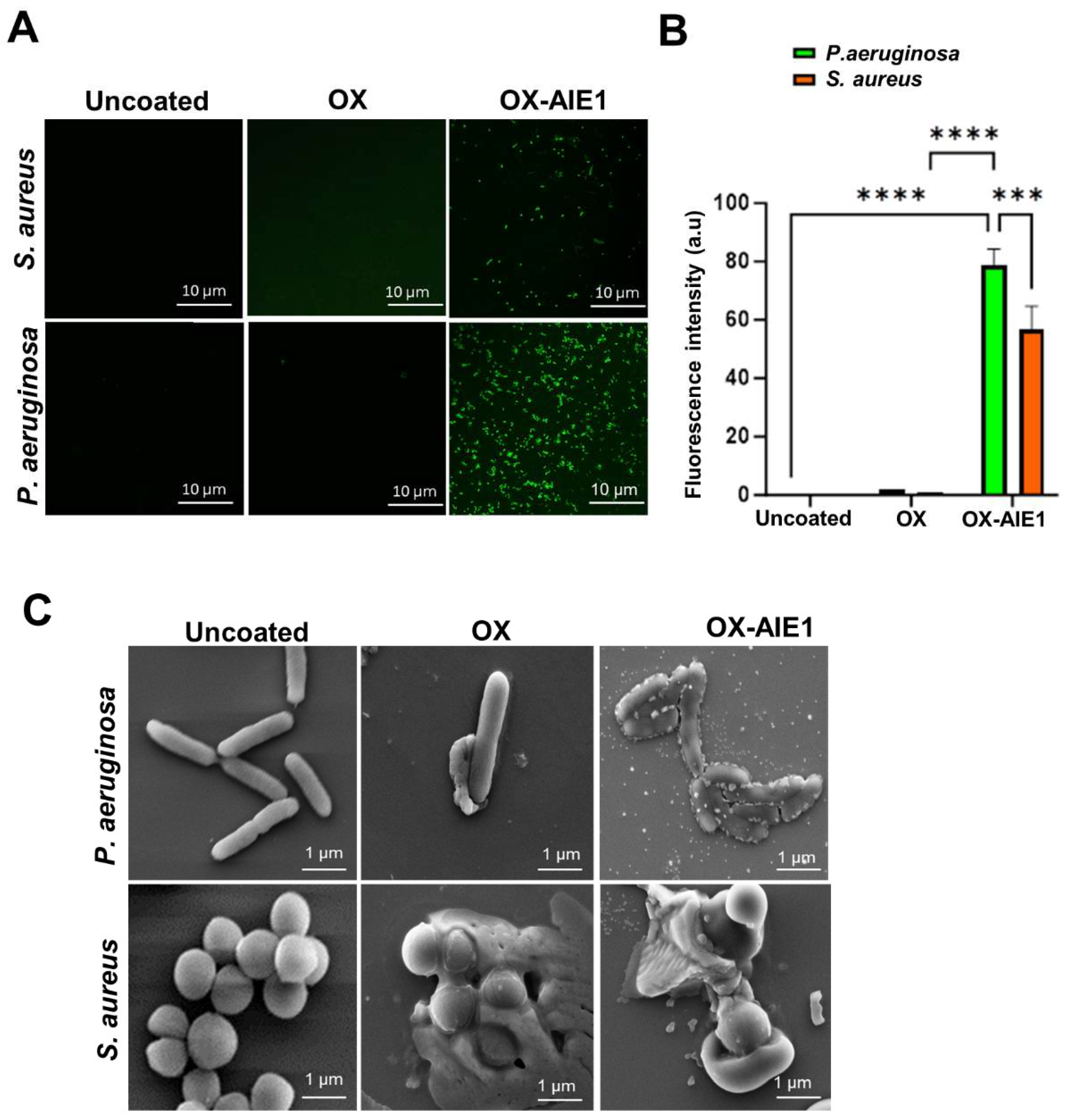 Molecules 29 01209 g004