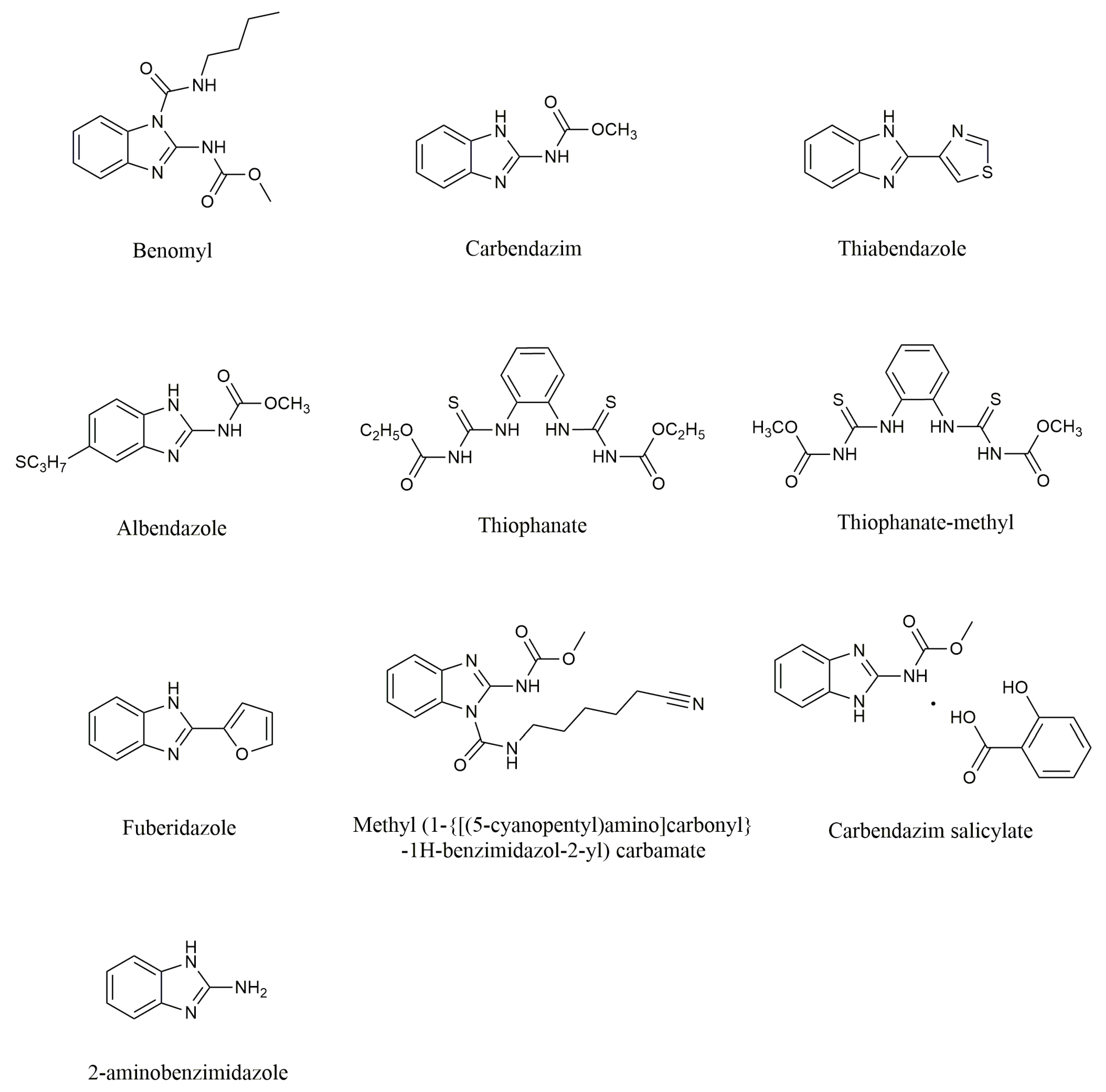 Molecules 29 01218 g001 Molecules 29 01218 g001