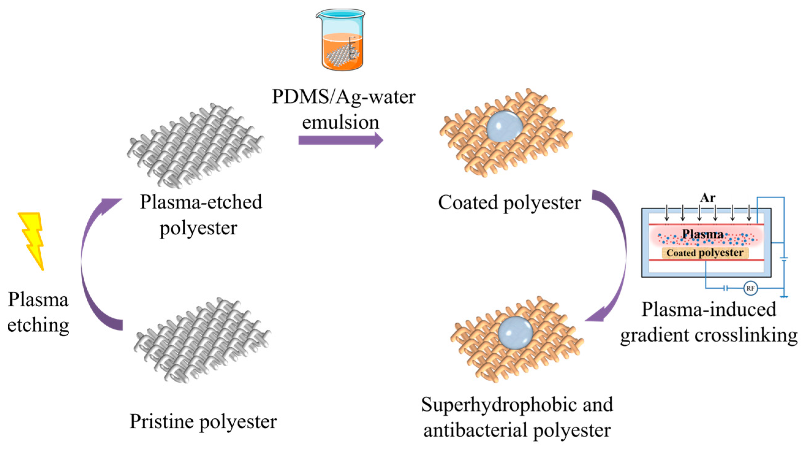 Molecules 29 01219 g002