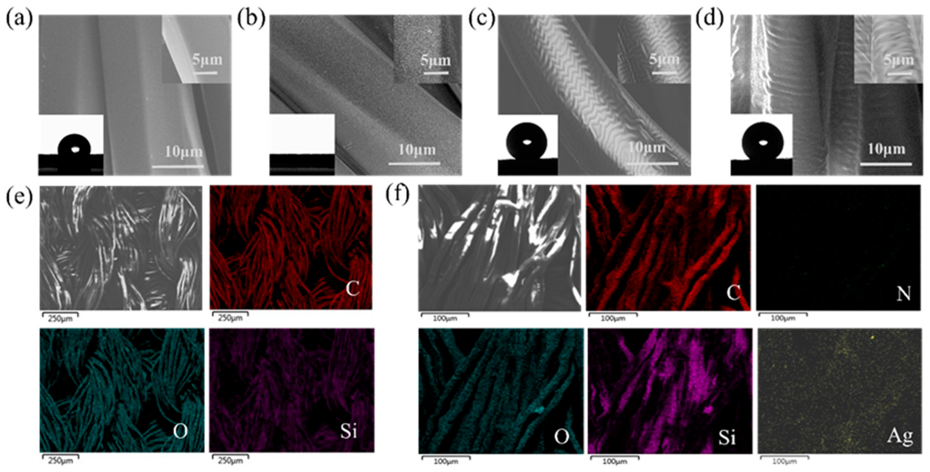 Molecules 29 01219 g003