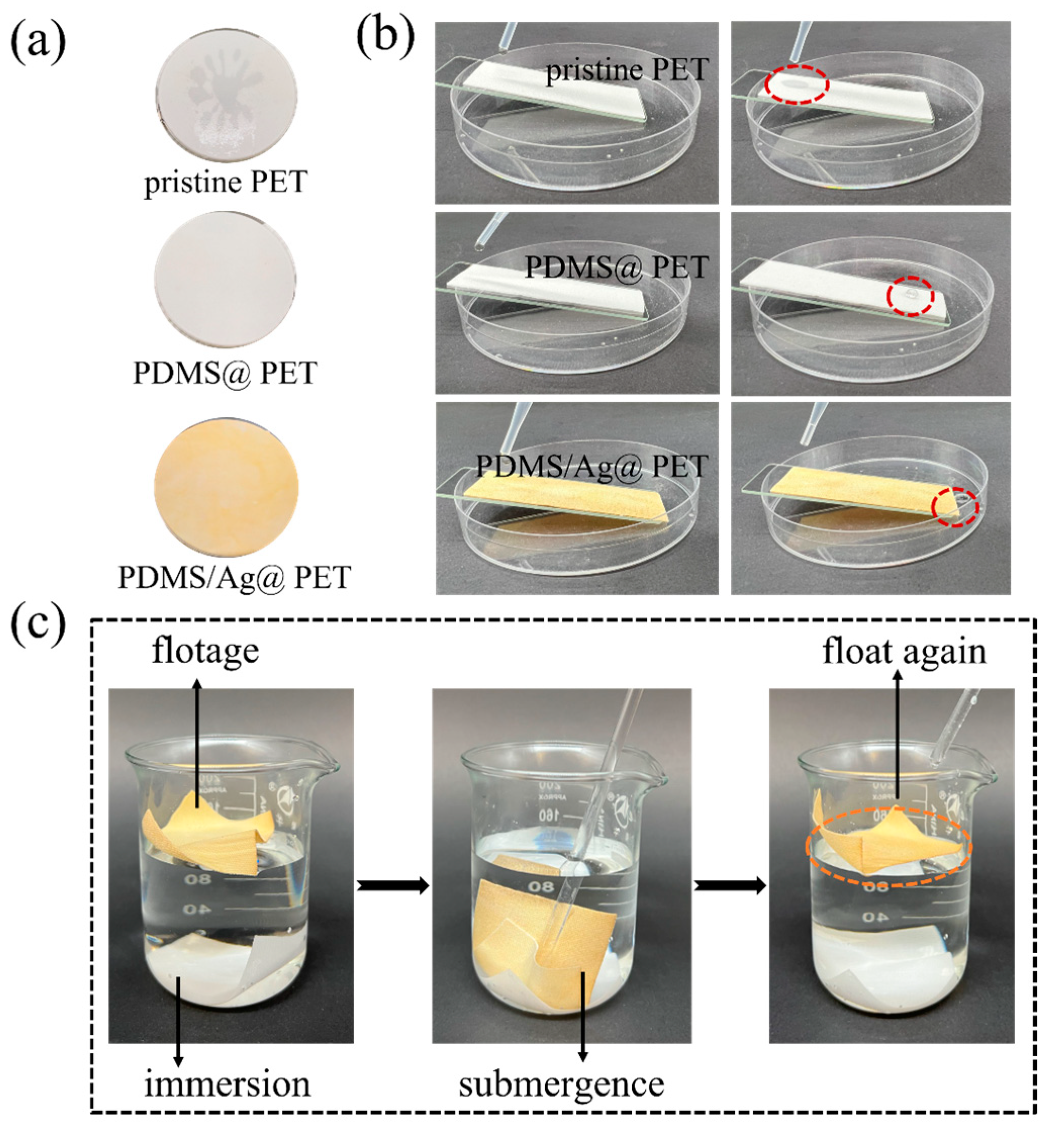 Molecules 29 01219 g006