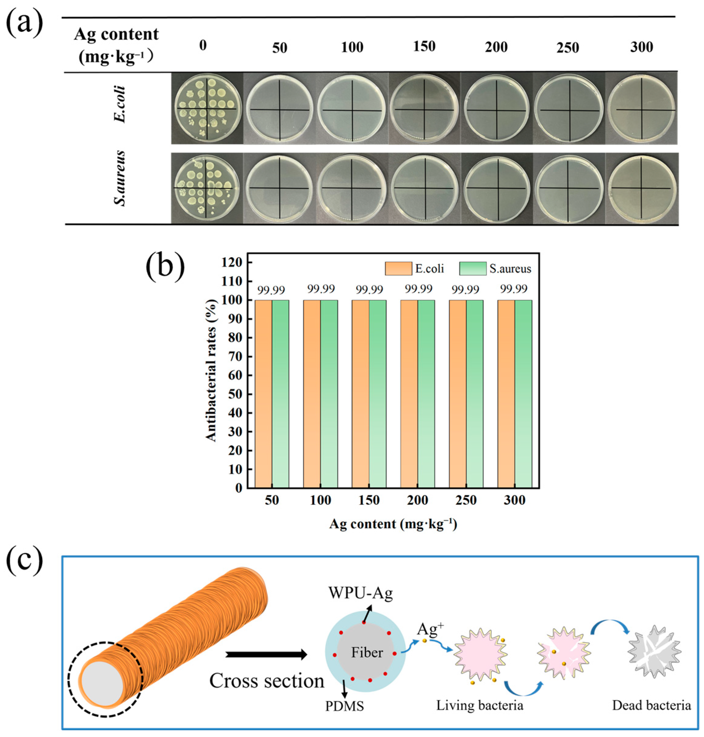 Molecules 29 01219 g007