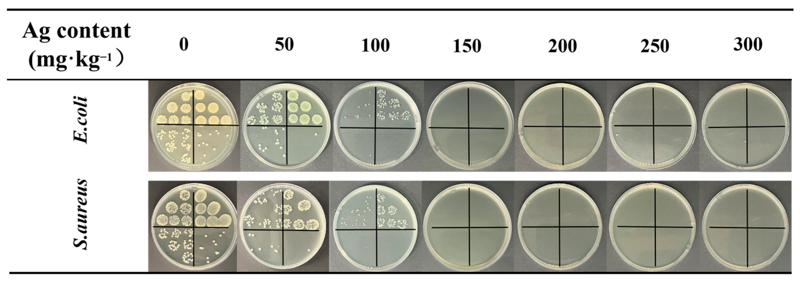 Molecules 29 01219 g009