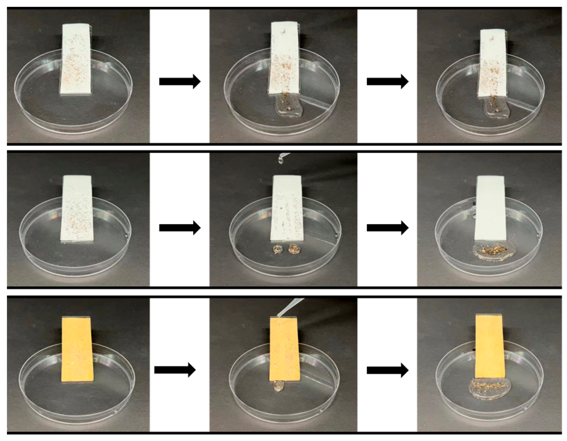 Molecules 29 01219 g010