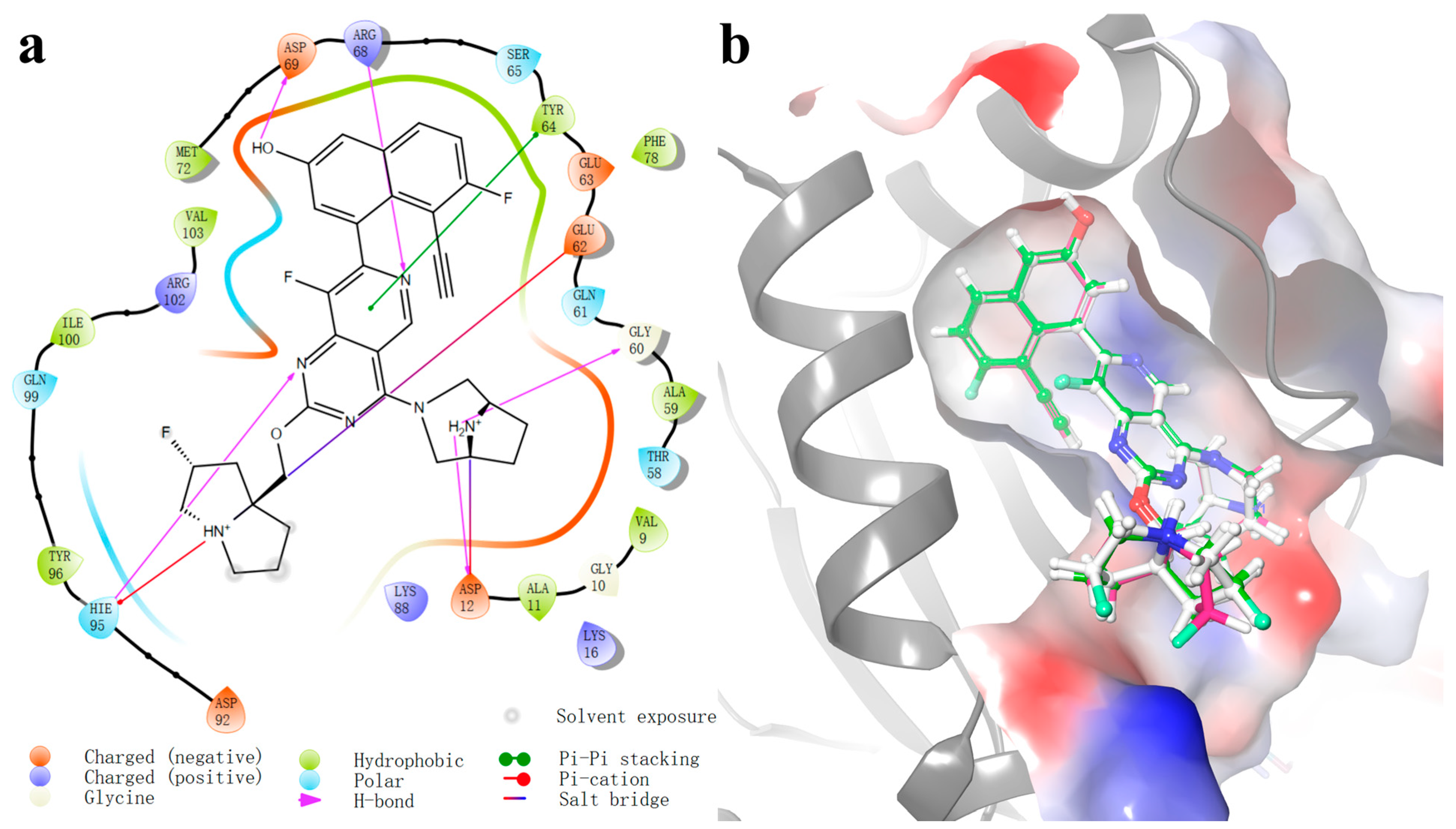 Molecules 29 01229 g003