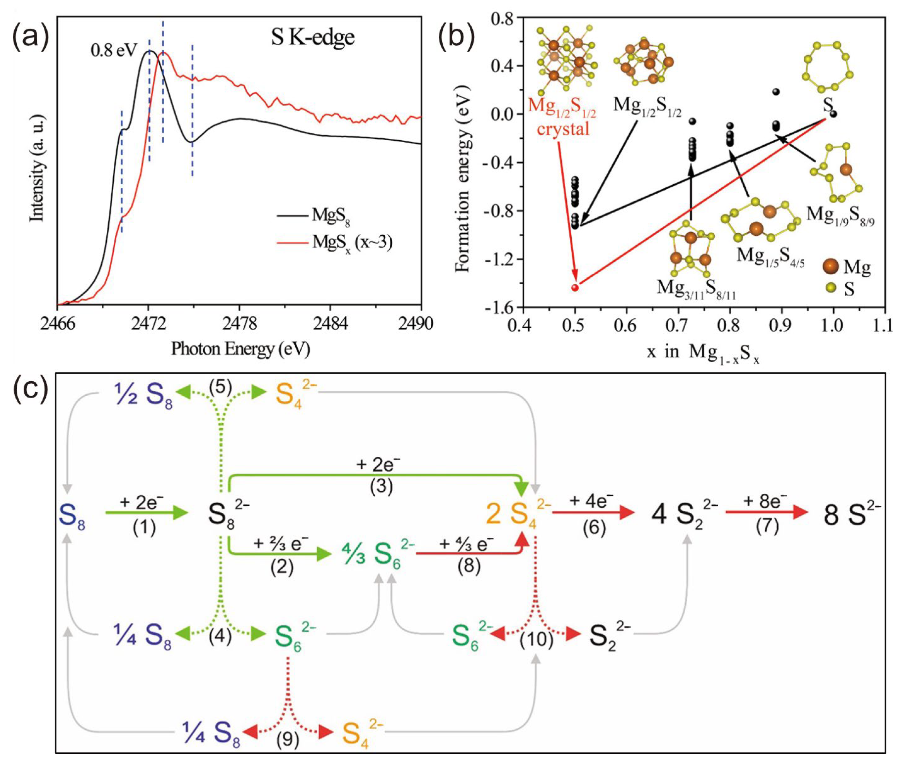 Molecules 29 01234 g010