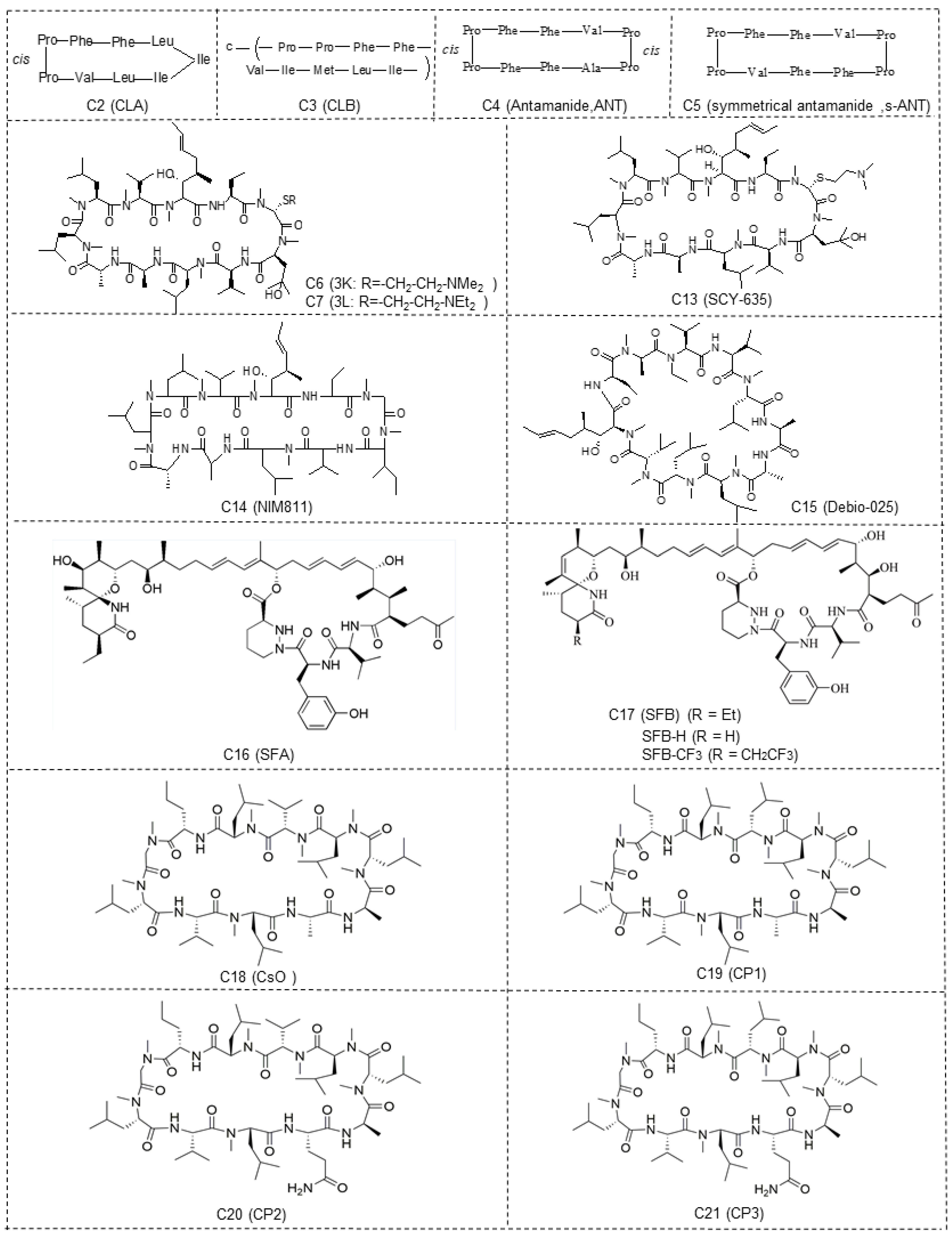 Molecules 29 01235 g002a