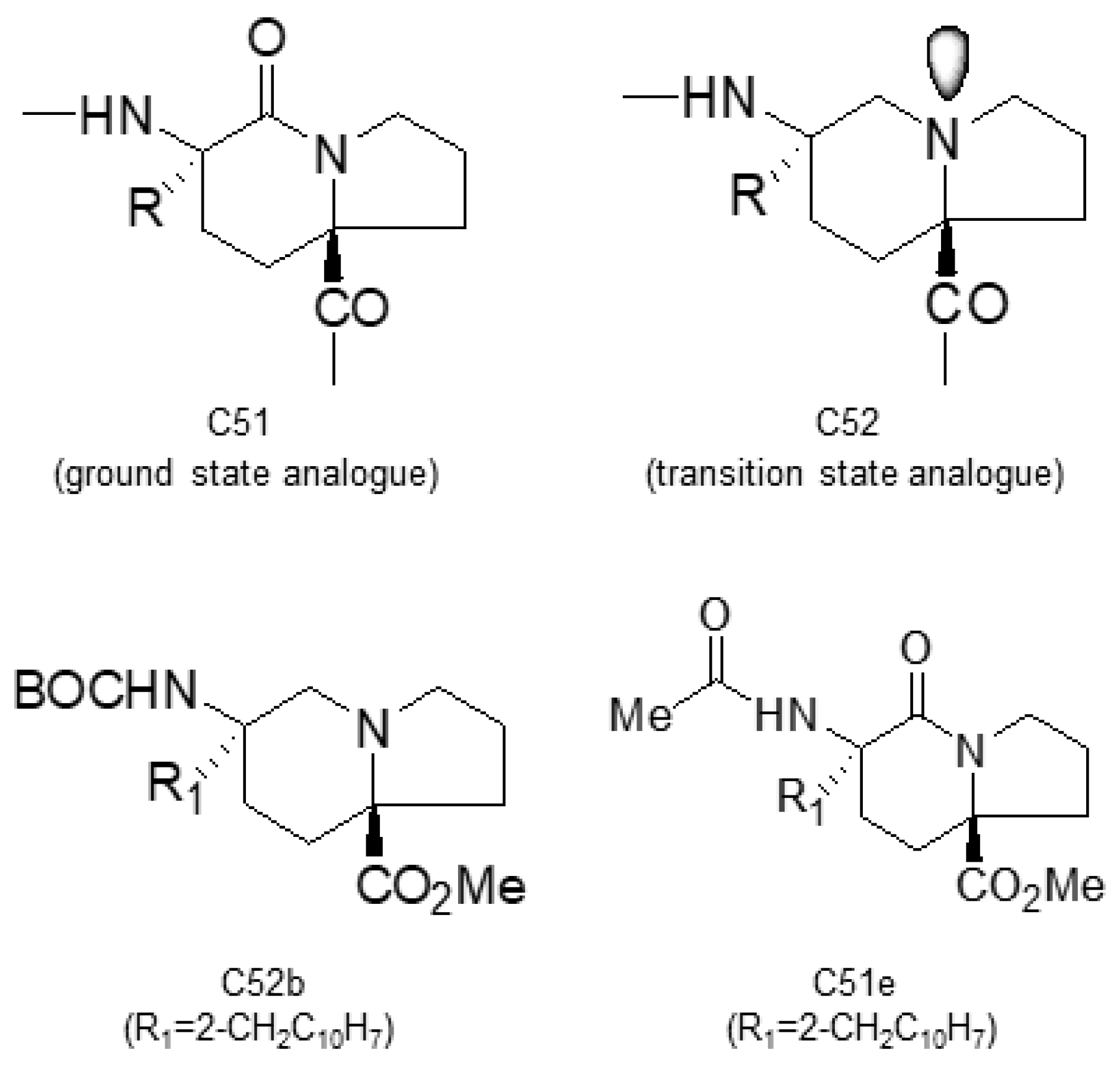 Molecules 29 01235 g004
