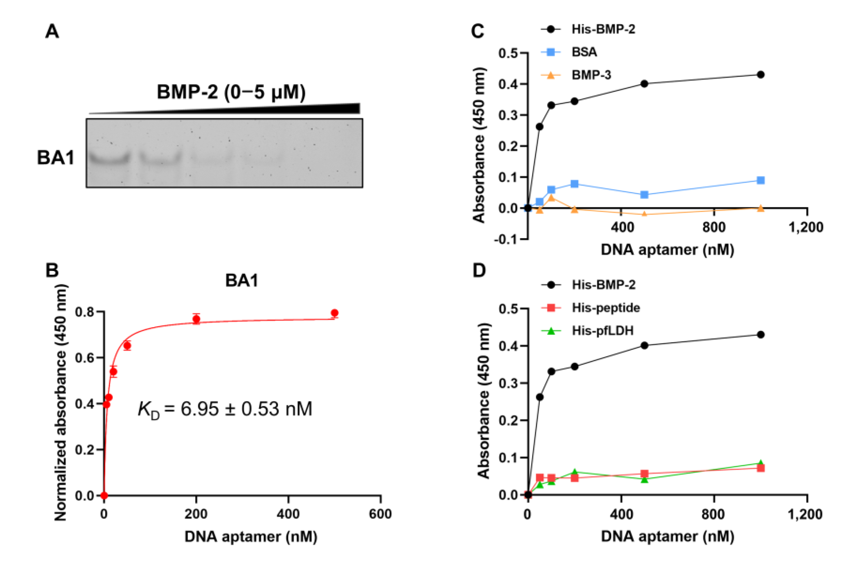 Molecules 29 01243 g001