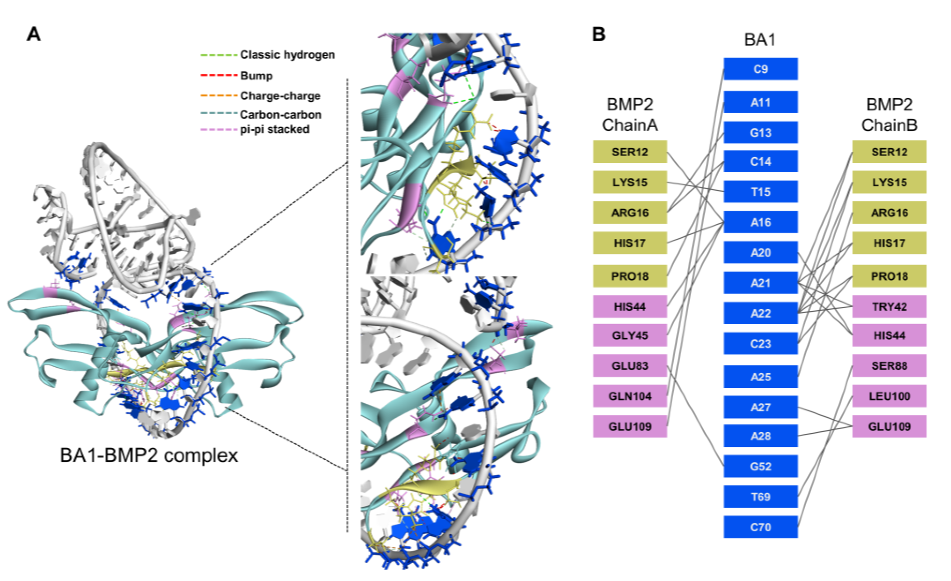 Molecules 29 01243 g002