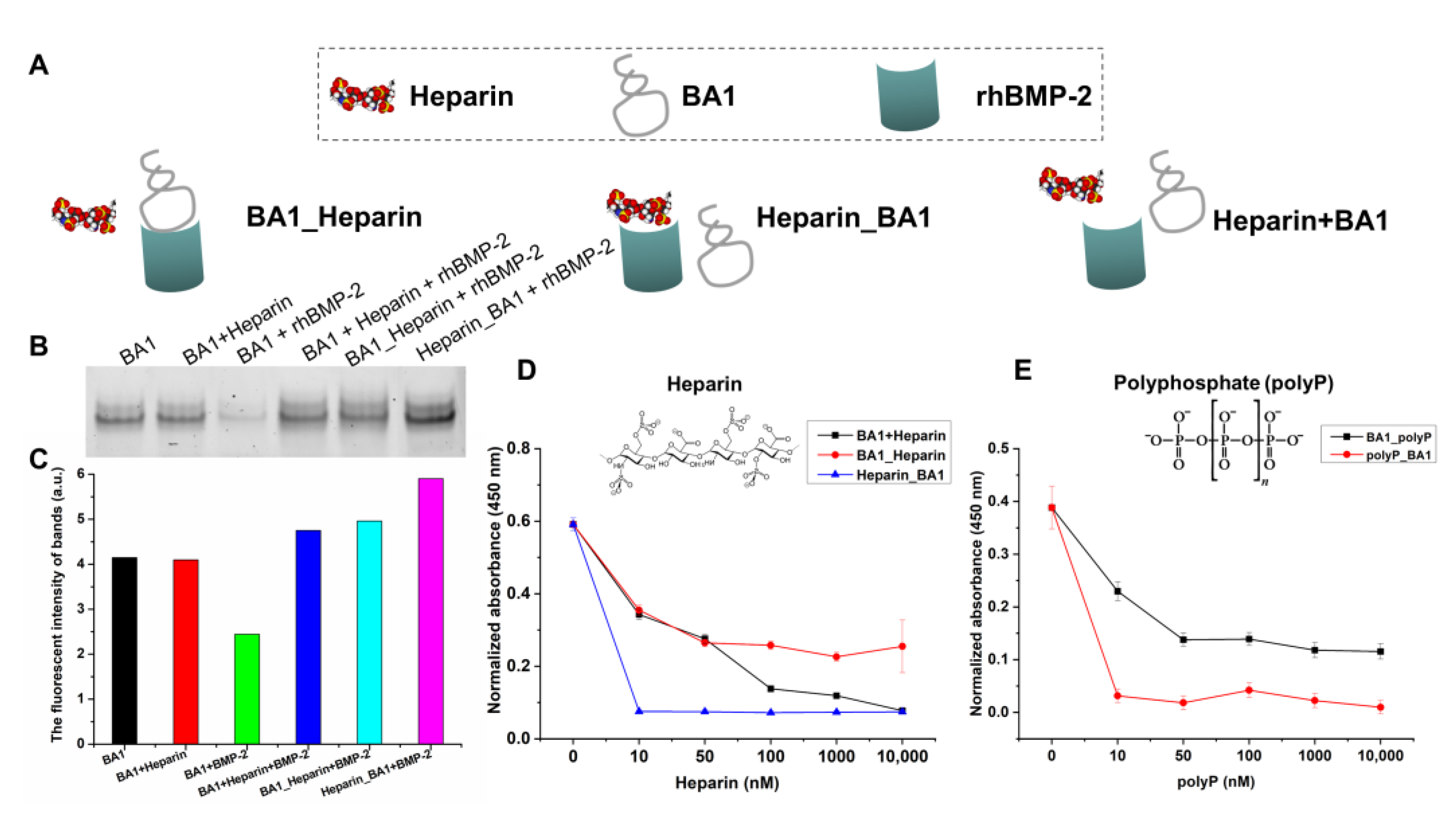 Molecules 29 01243 g003