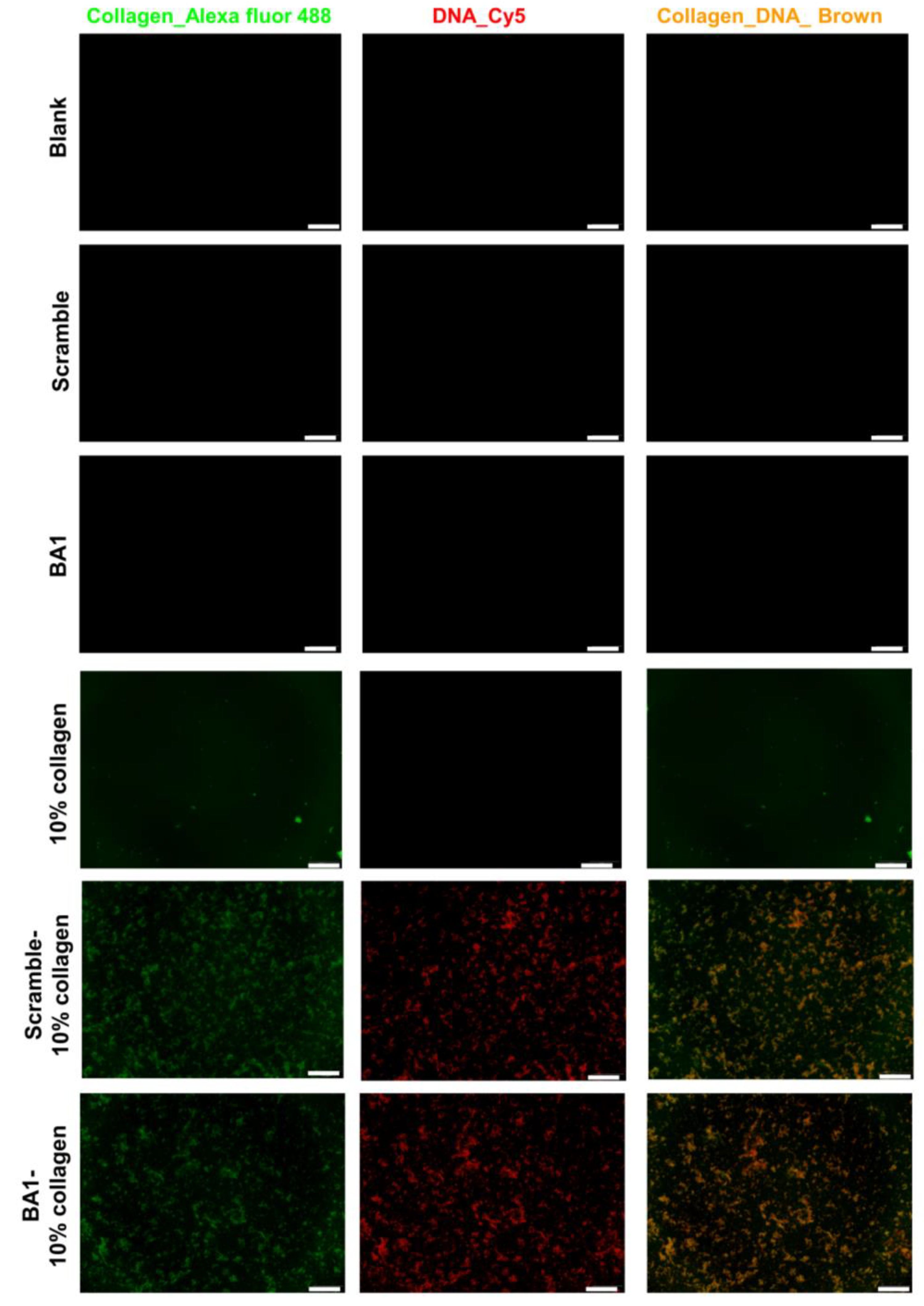 Molecules 29 01243 g005