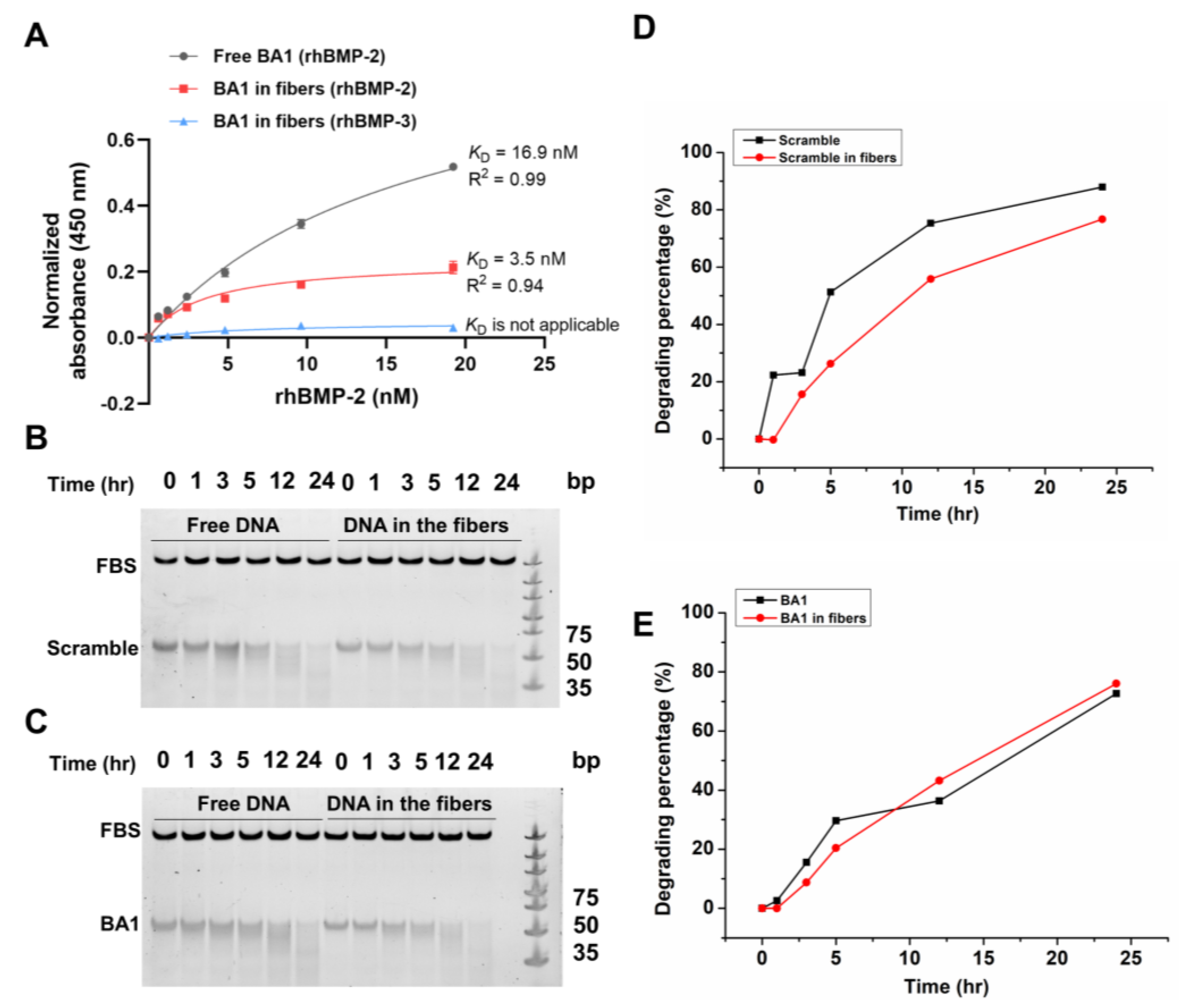 Molecules 29 01243 g006