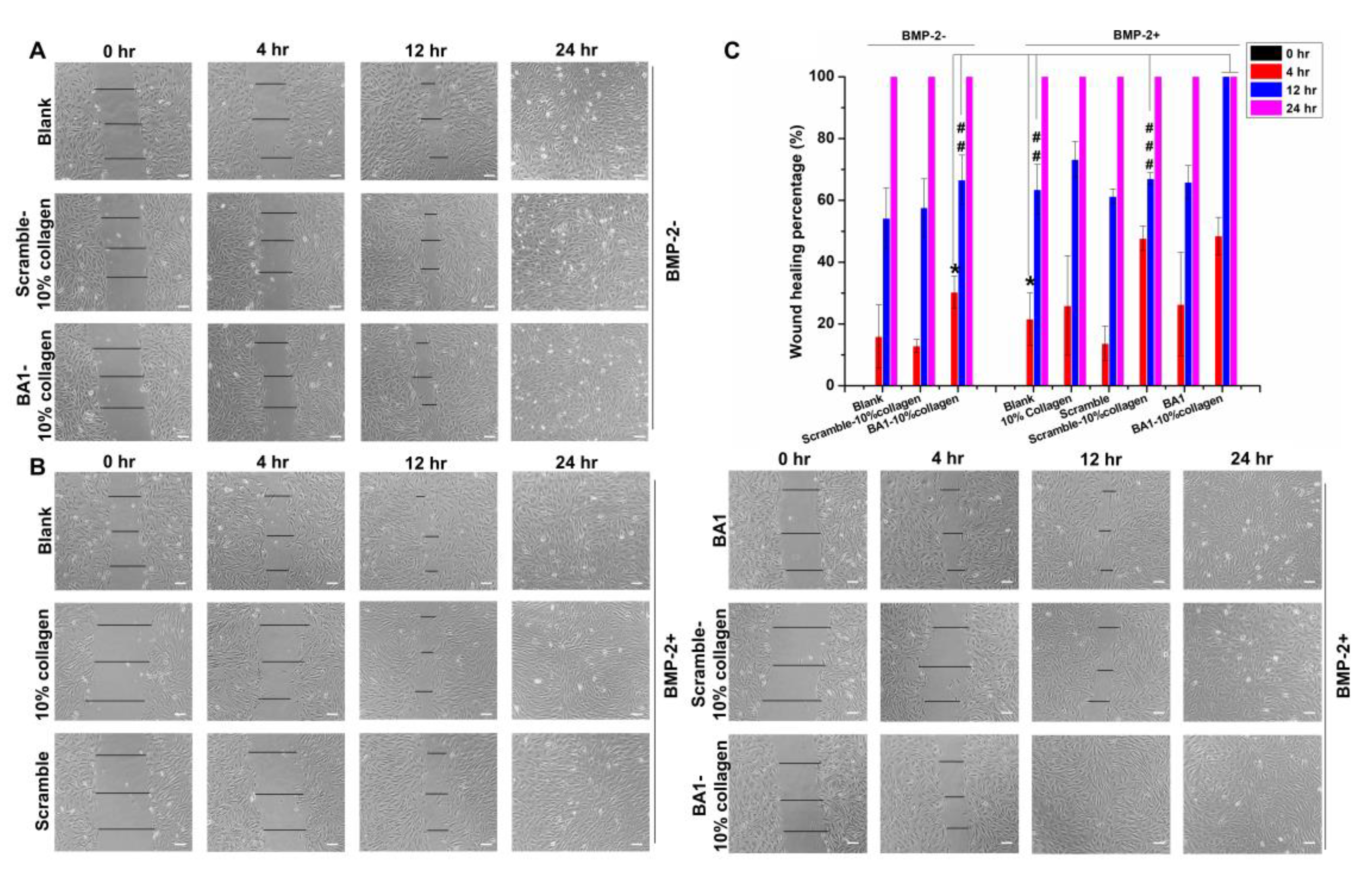 Molecules 29 01243 g009