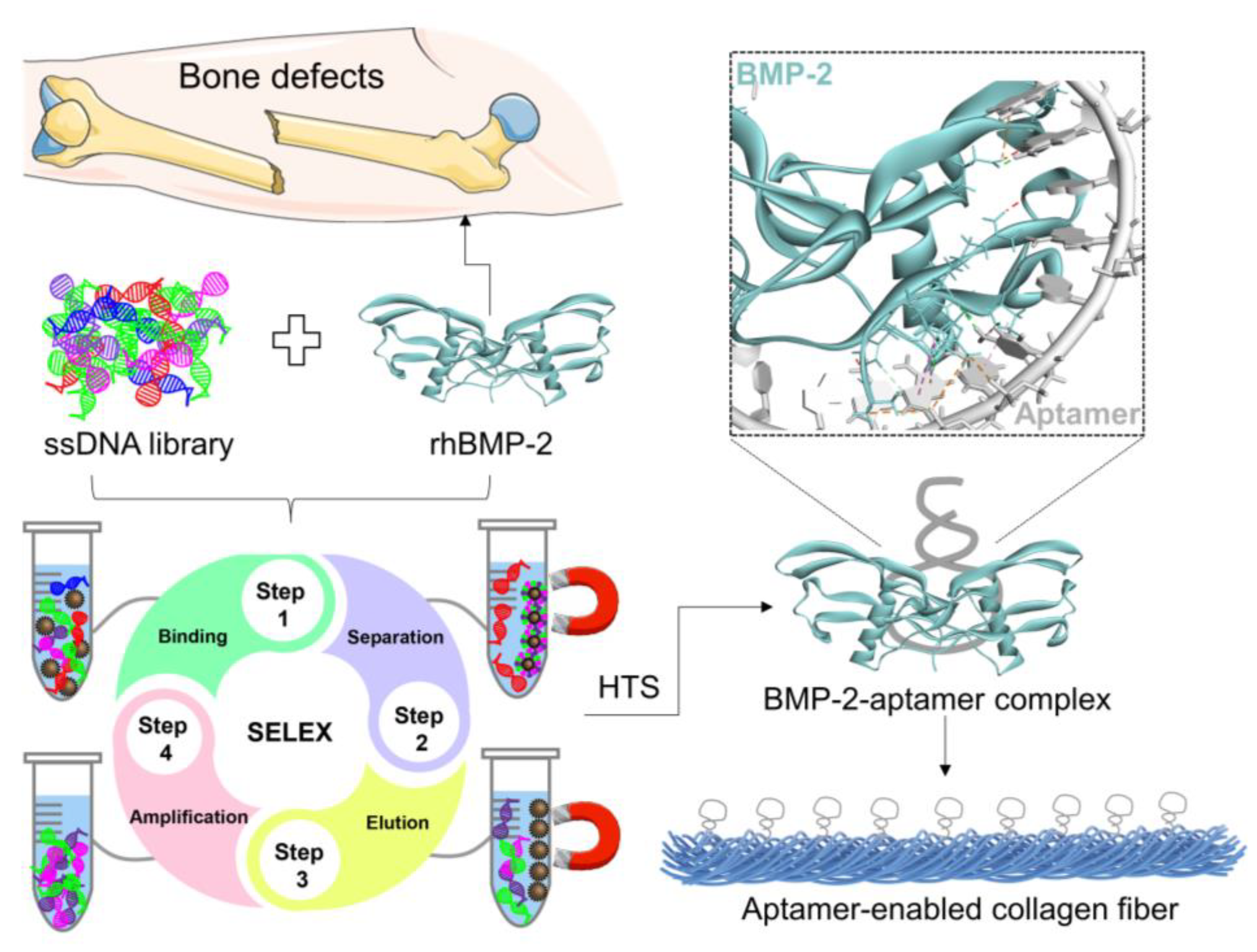 Molecules 29 01243 sch001