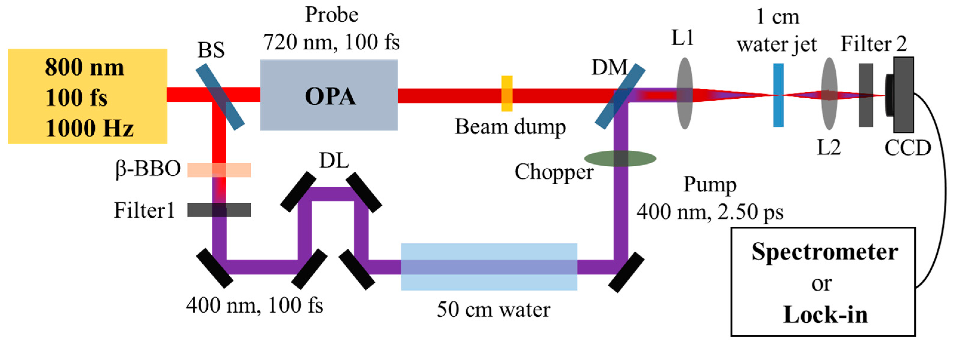 Molecules 29 01245 g004