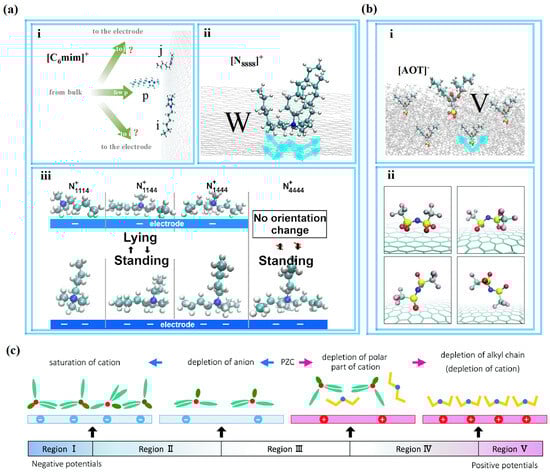Molecules 29 01246 g004