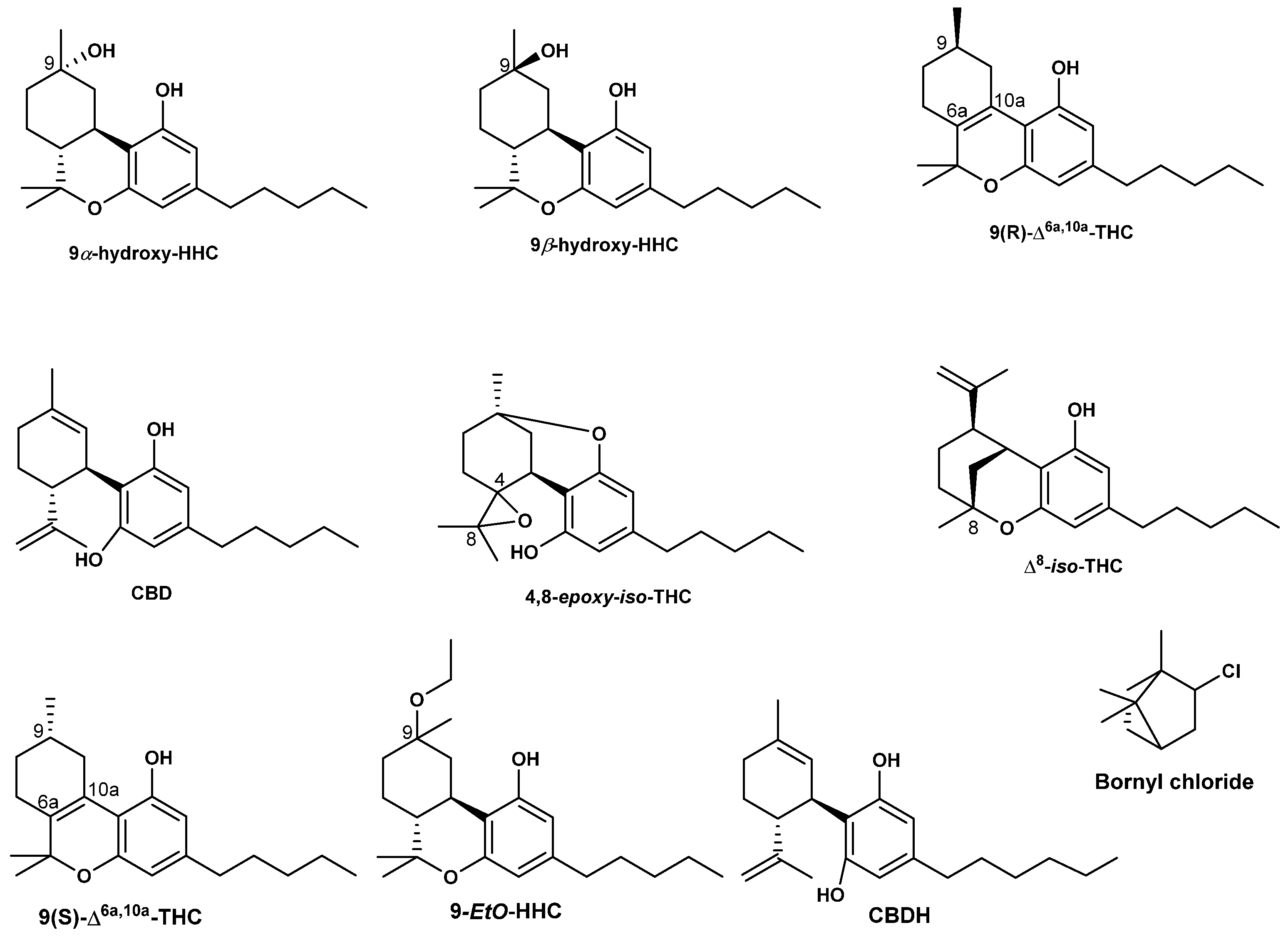 Molecules 29 01249 g005b