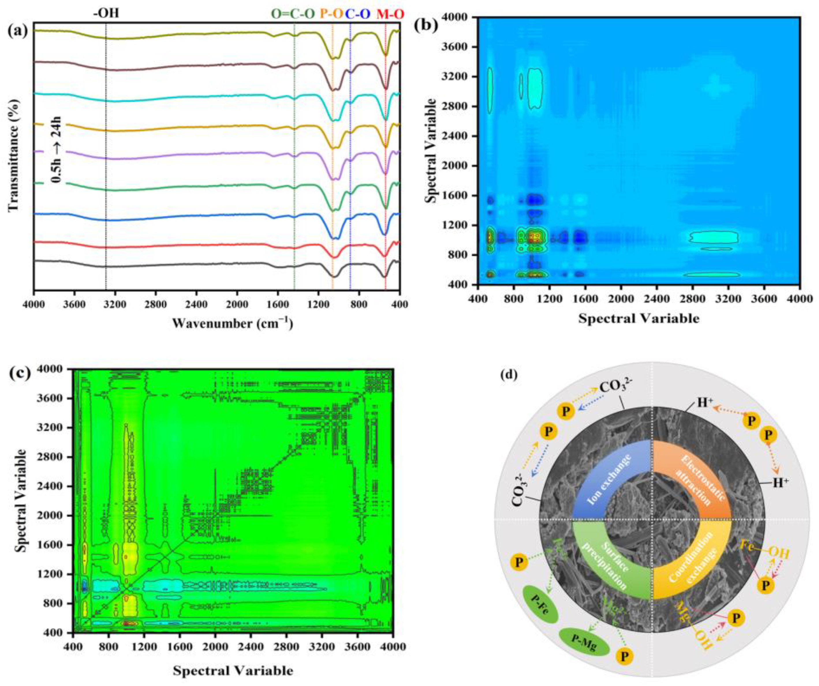 Molecules 29 01252 g006