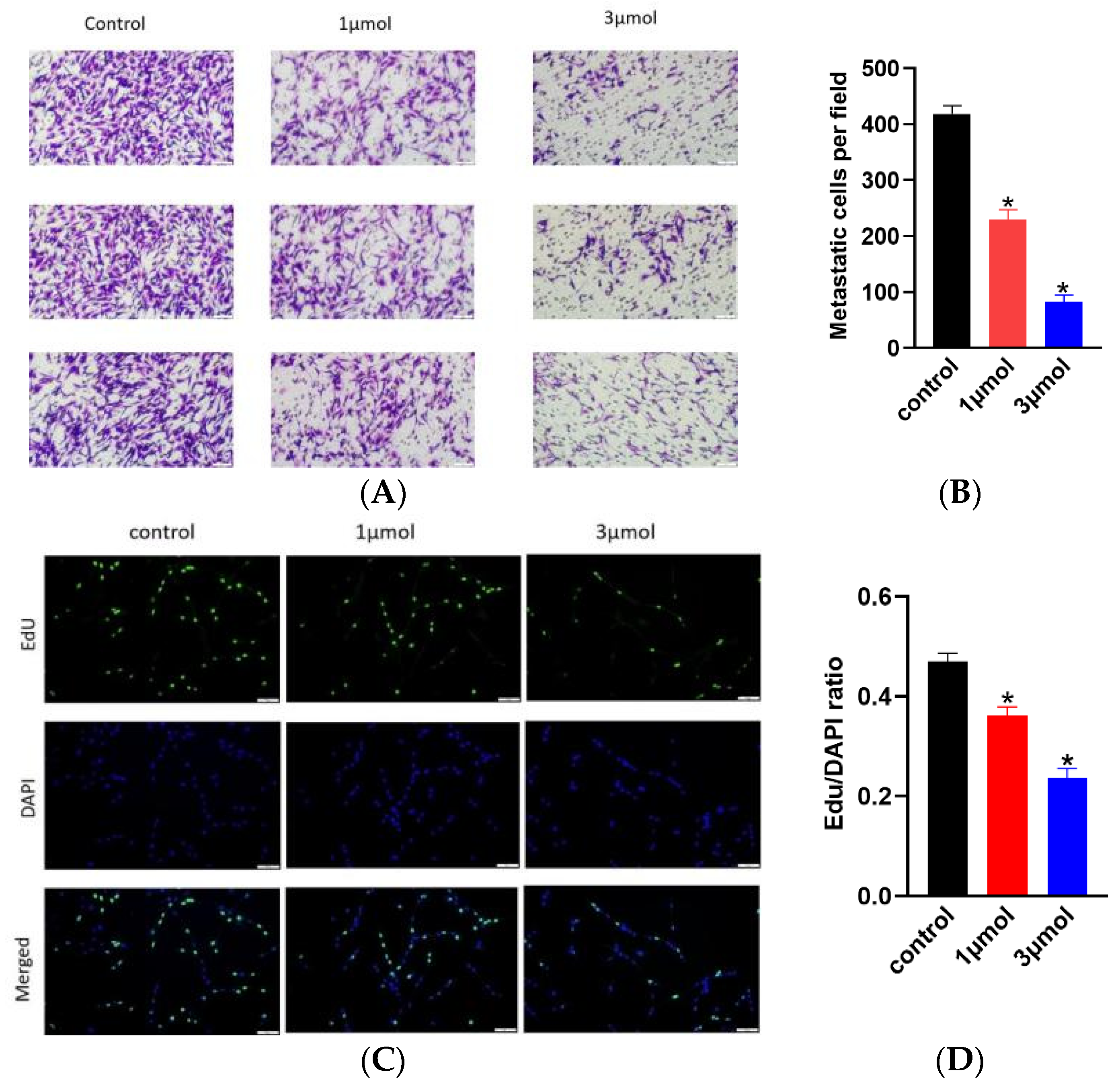 Molecules 29 01253 g002