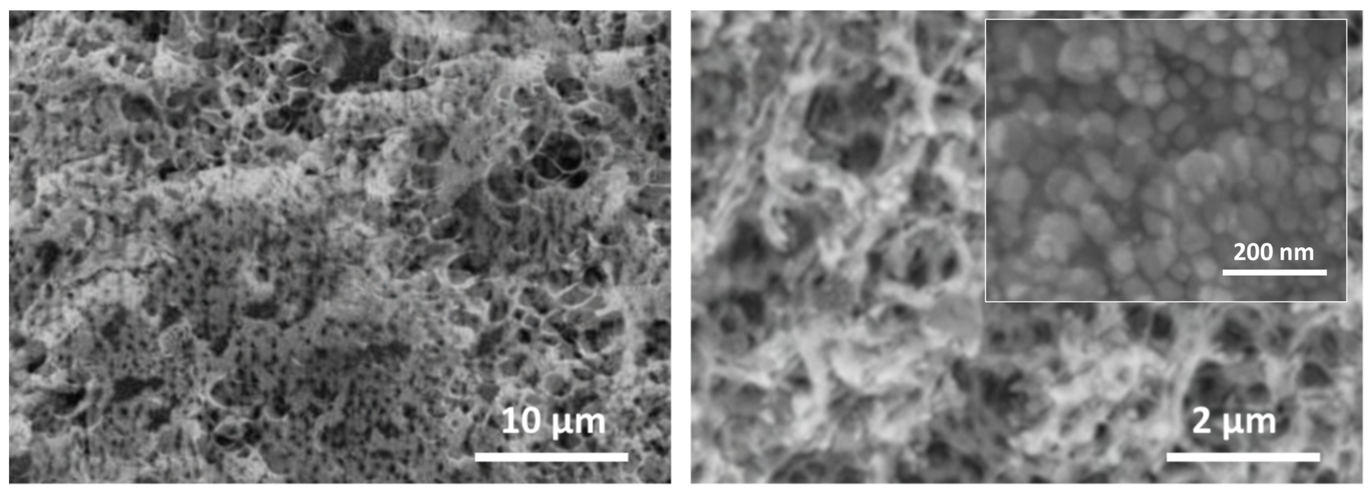 Molecules 29 01256 g001