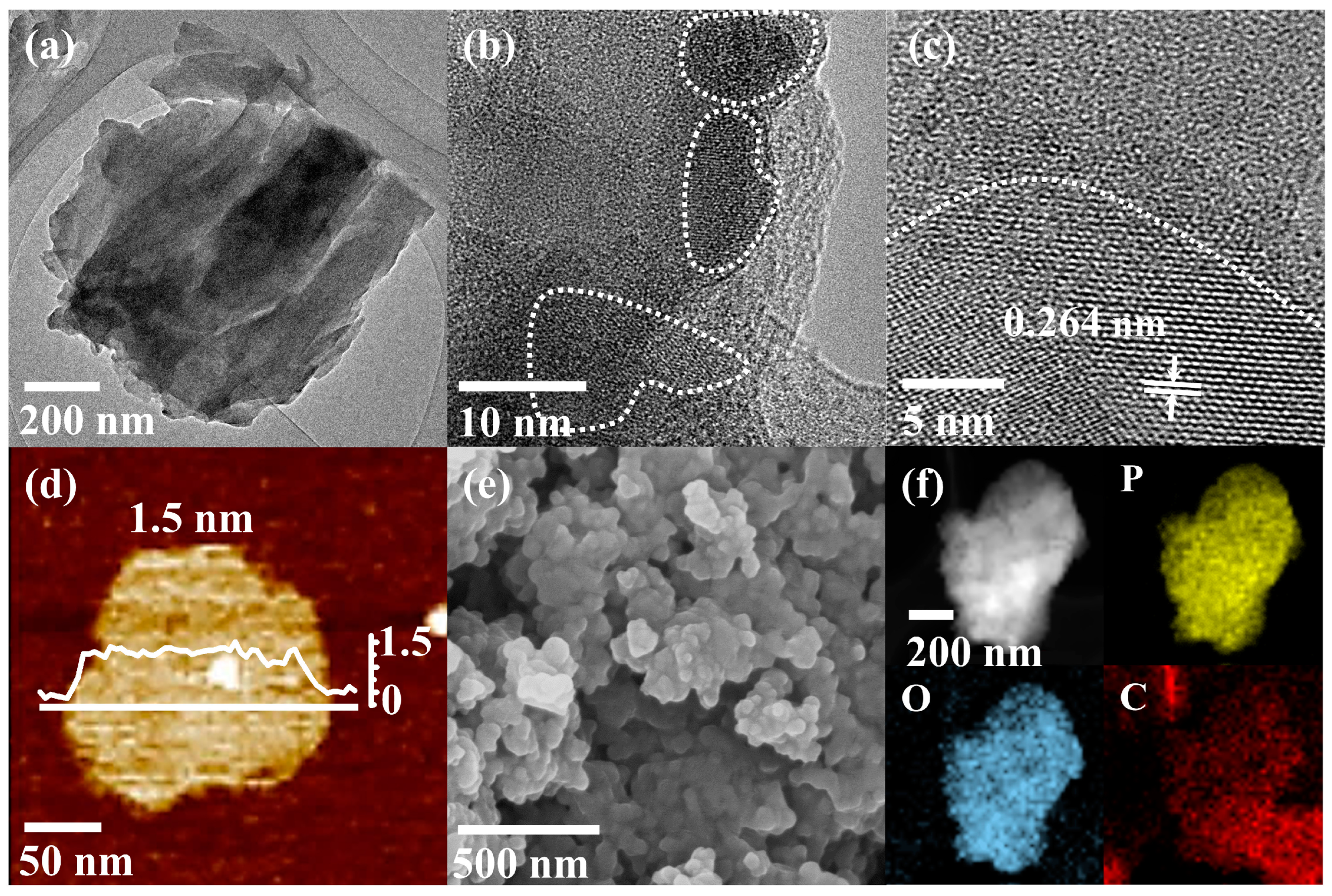 Molecules 29 01271 g002
