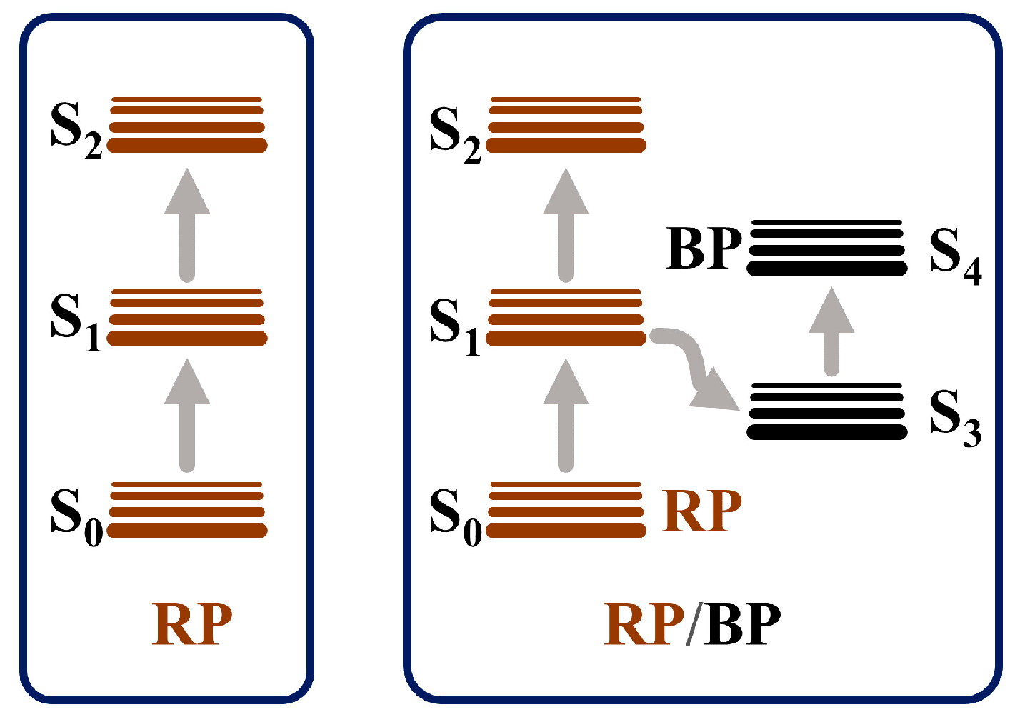 Molecules 29 01271 g008