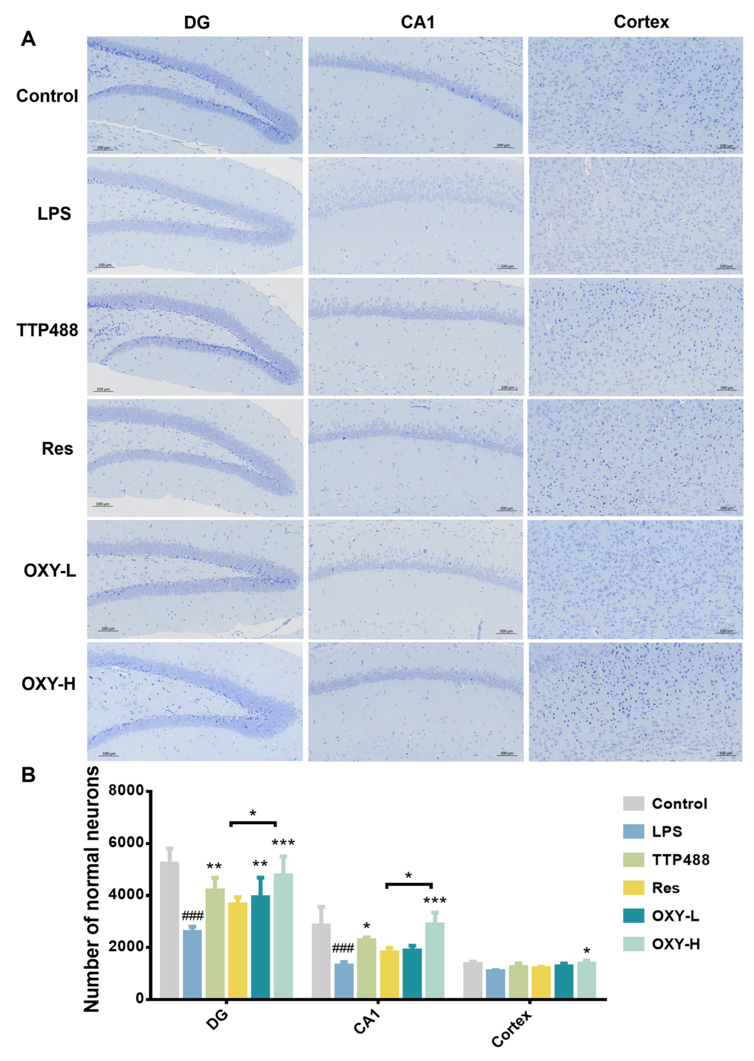 Molecules 29 01272 g005