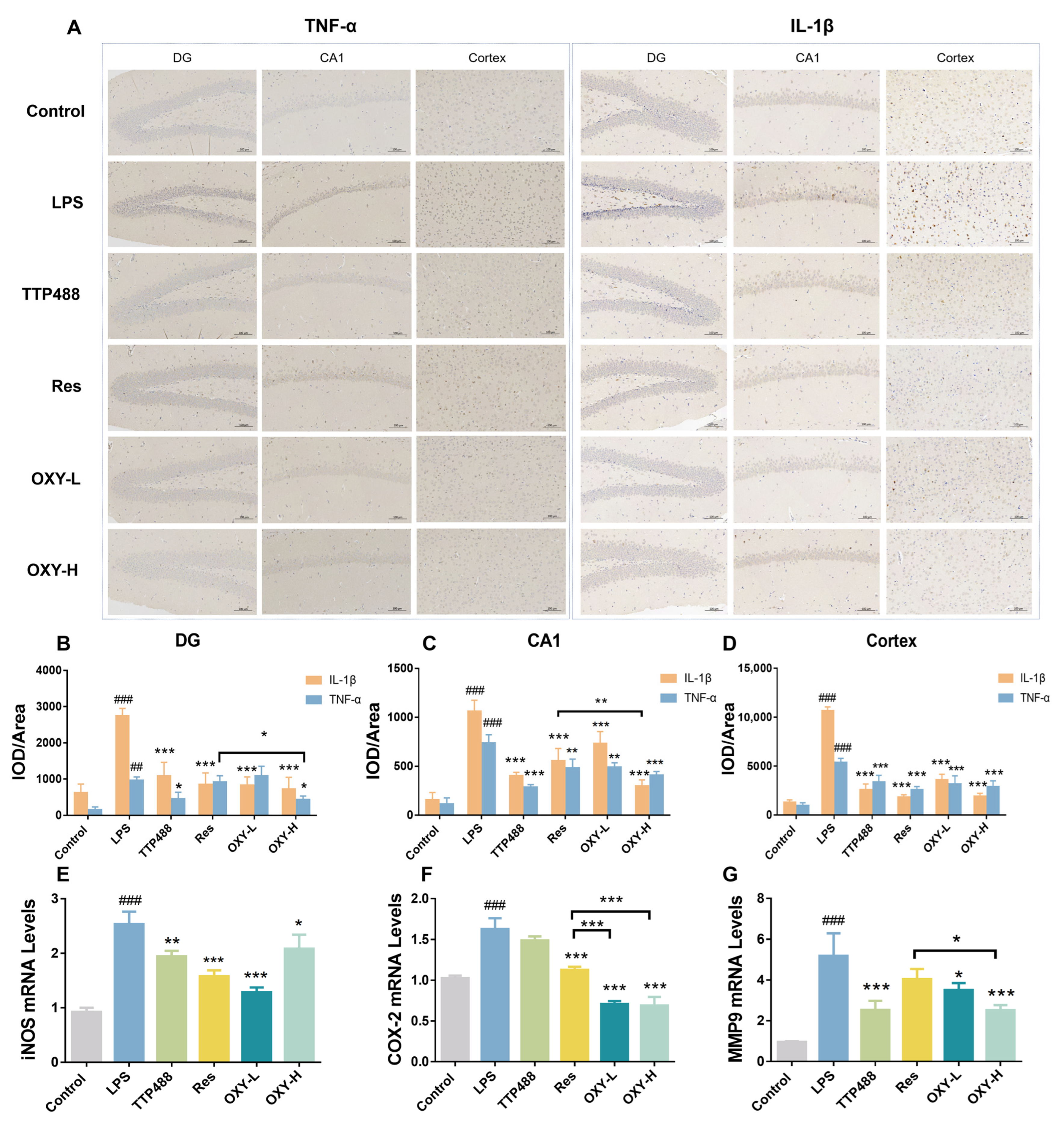 Molecules 29 01272 g007