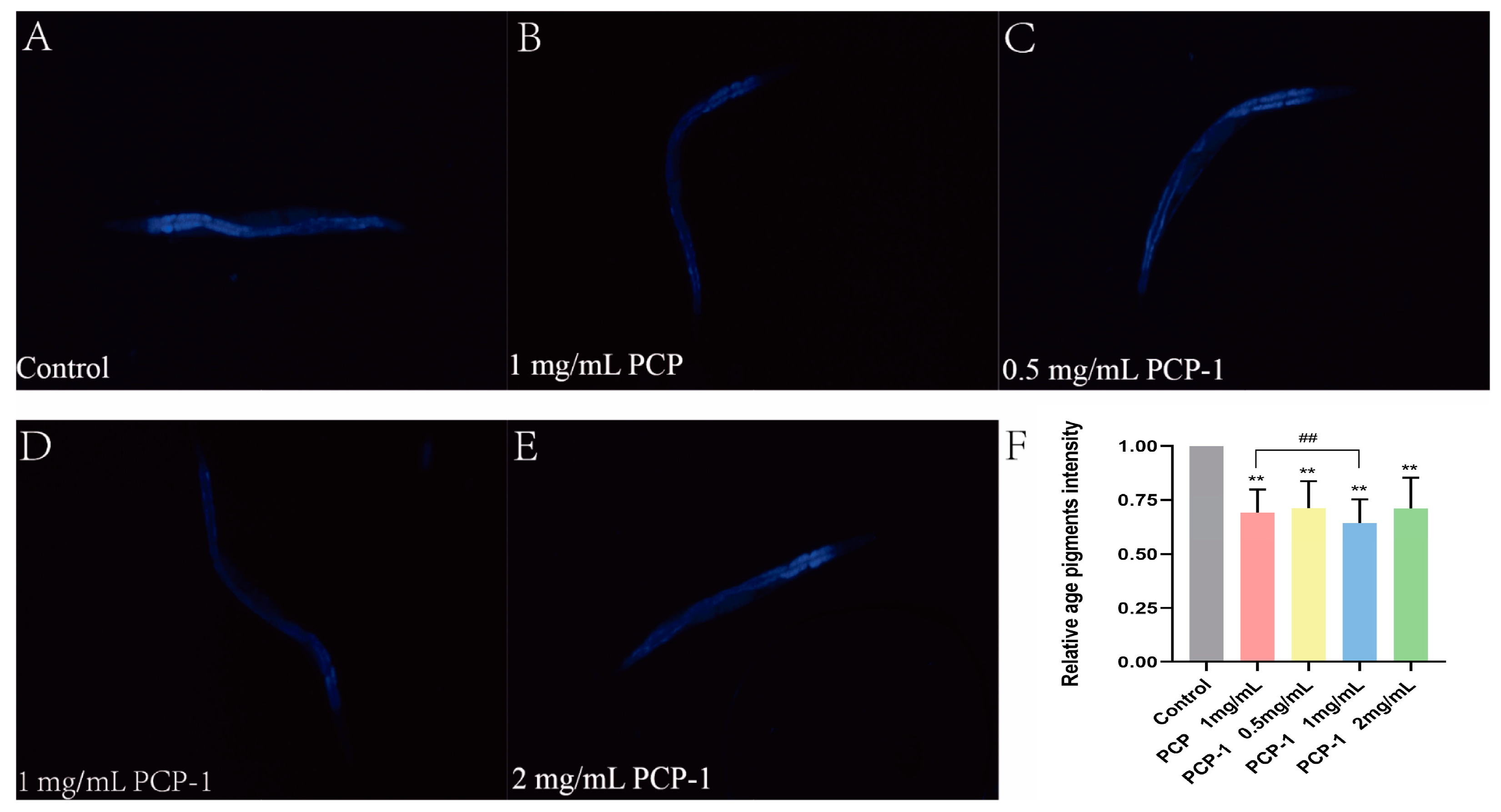 Molecules 29 01276 g006