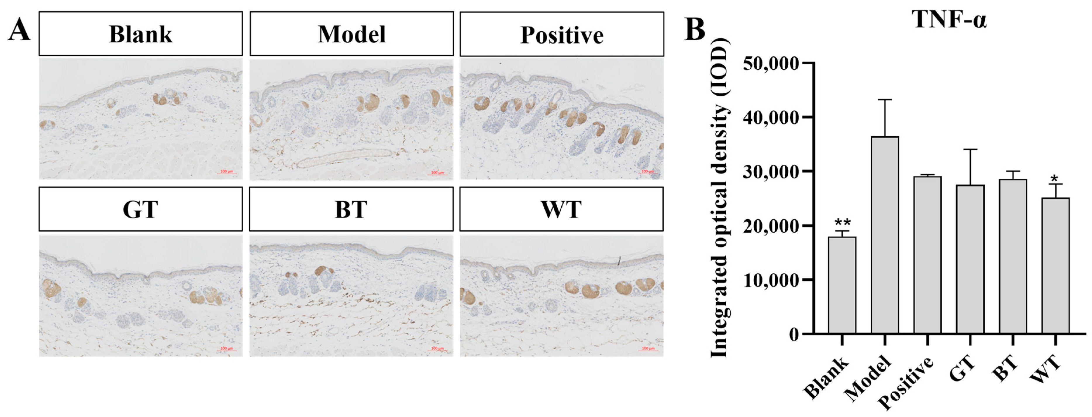 Molecules 29 01279 g005