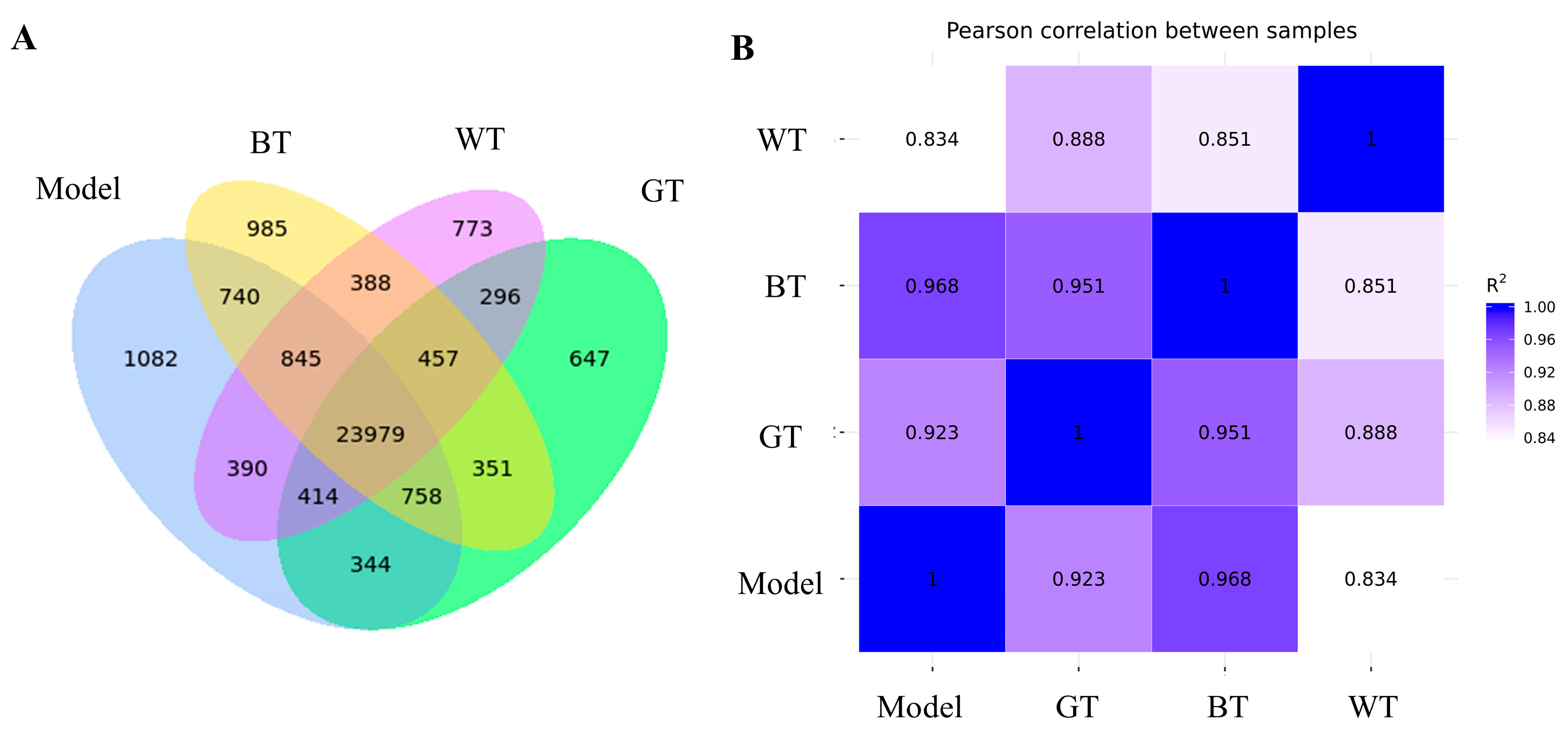 Molecules 29 01279 g006