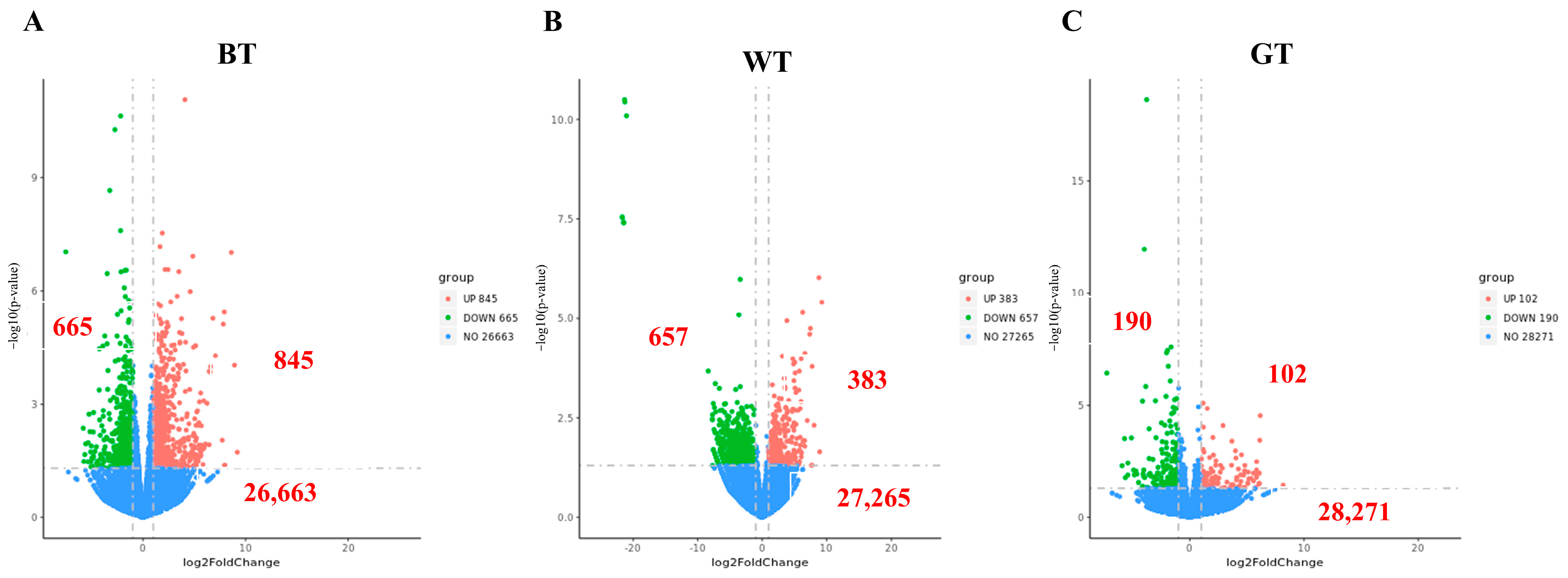 Molecules 29 01279 g008
