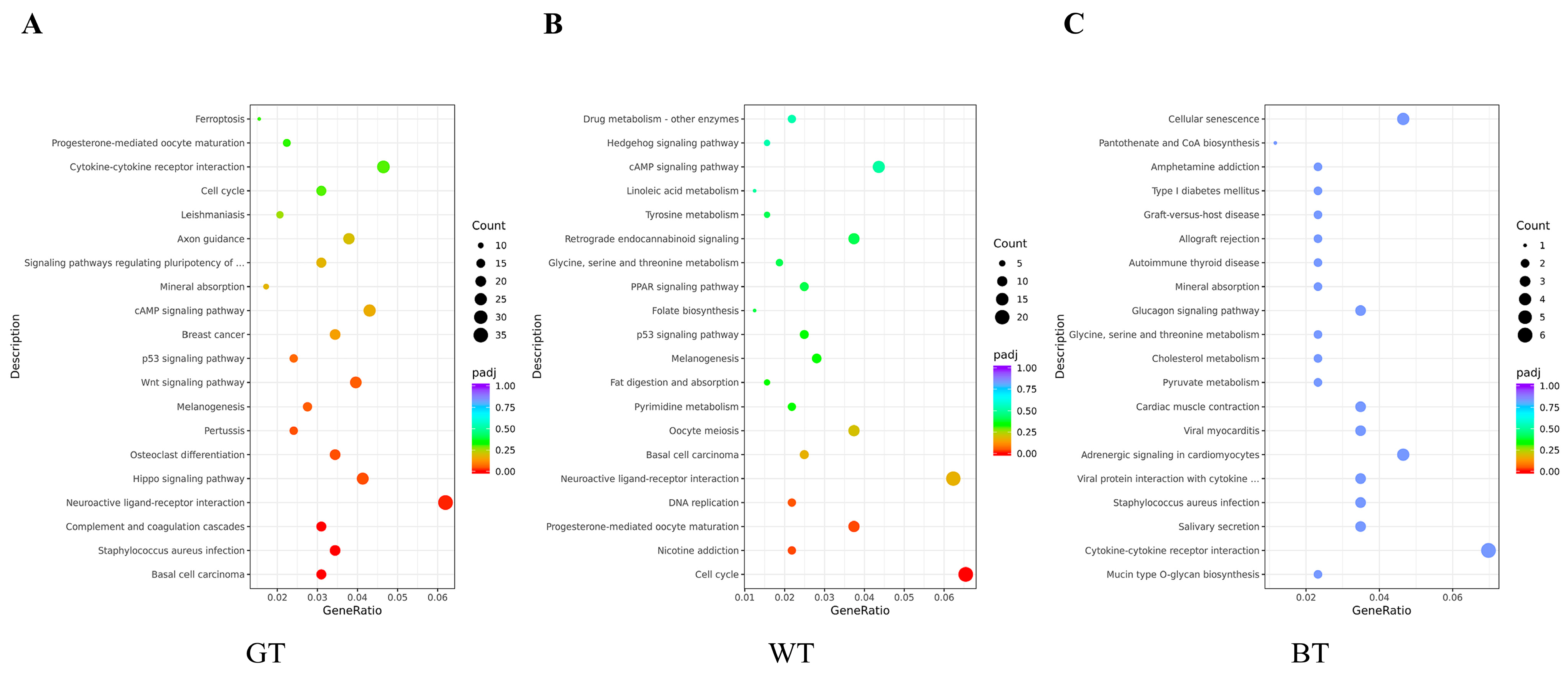 Molecules 29 01279 g011