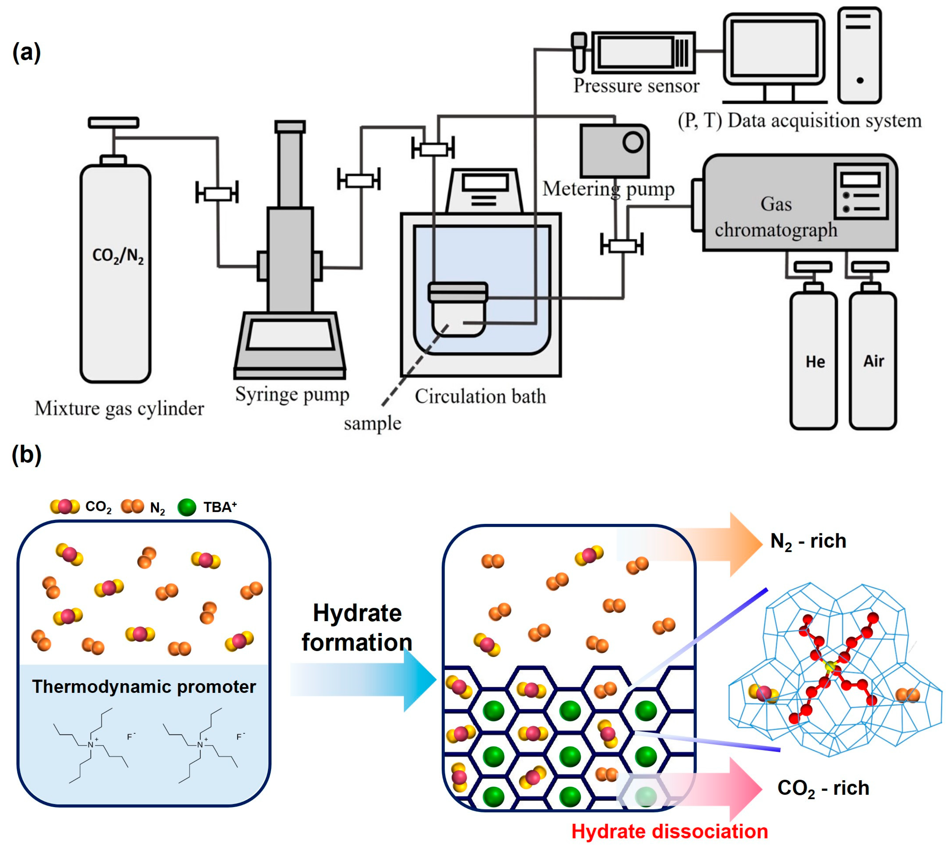 Molecules 29 01284 g001