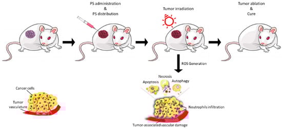Molecules 29 01285 g001