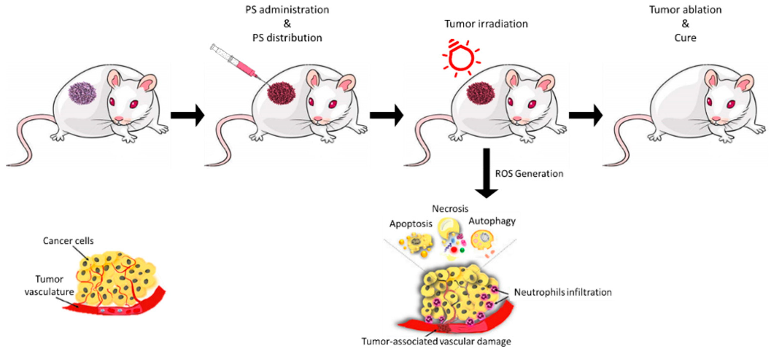 Molecules 29 01285 g001