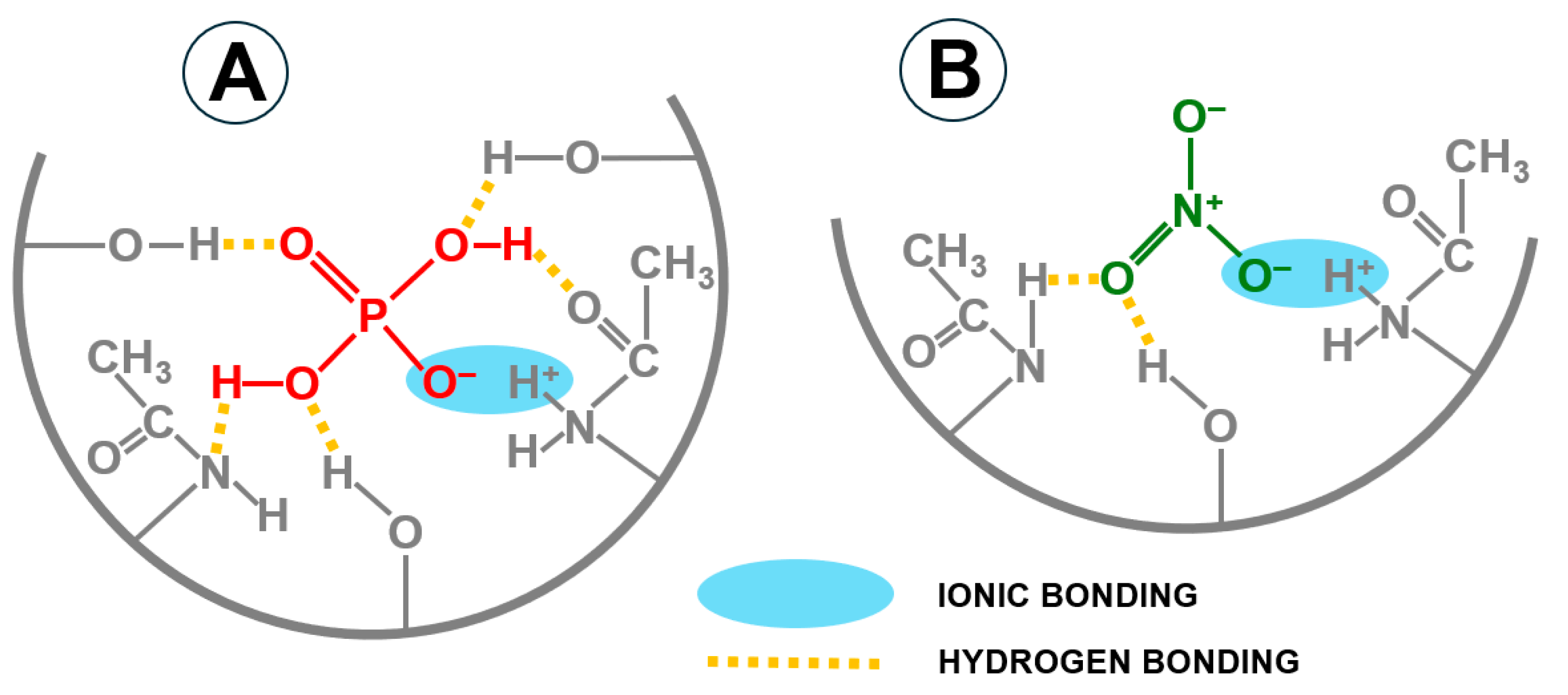 Molecules 29 01289 g009 Molecules 29 01289 g009