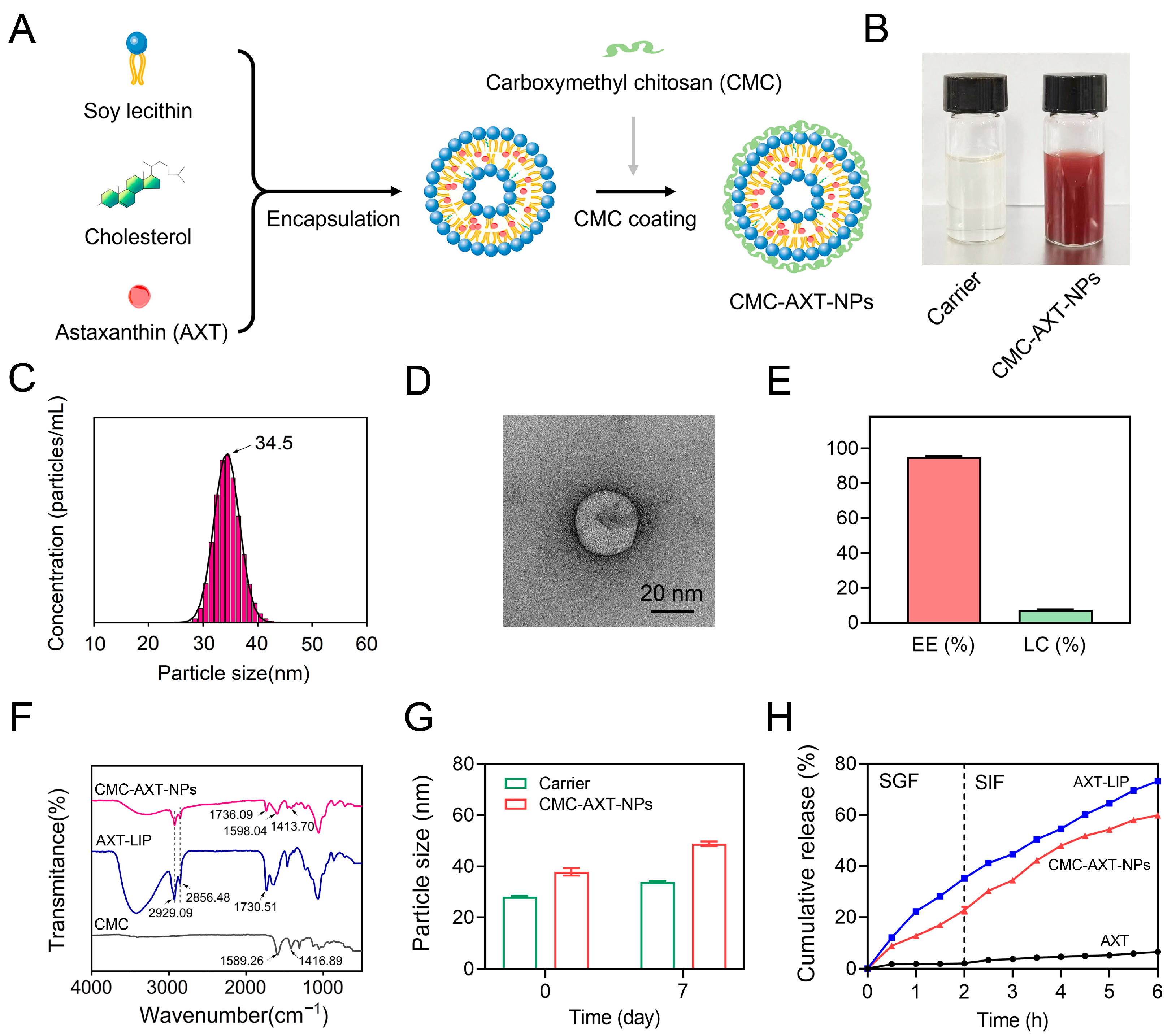 Molecules 29 01291 g001