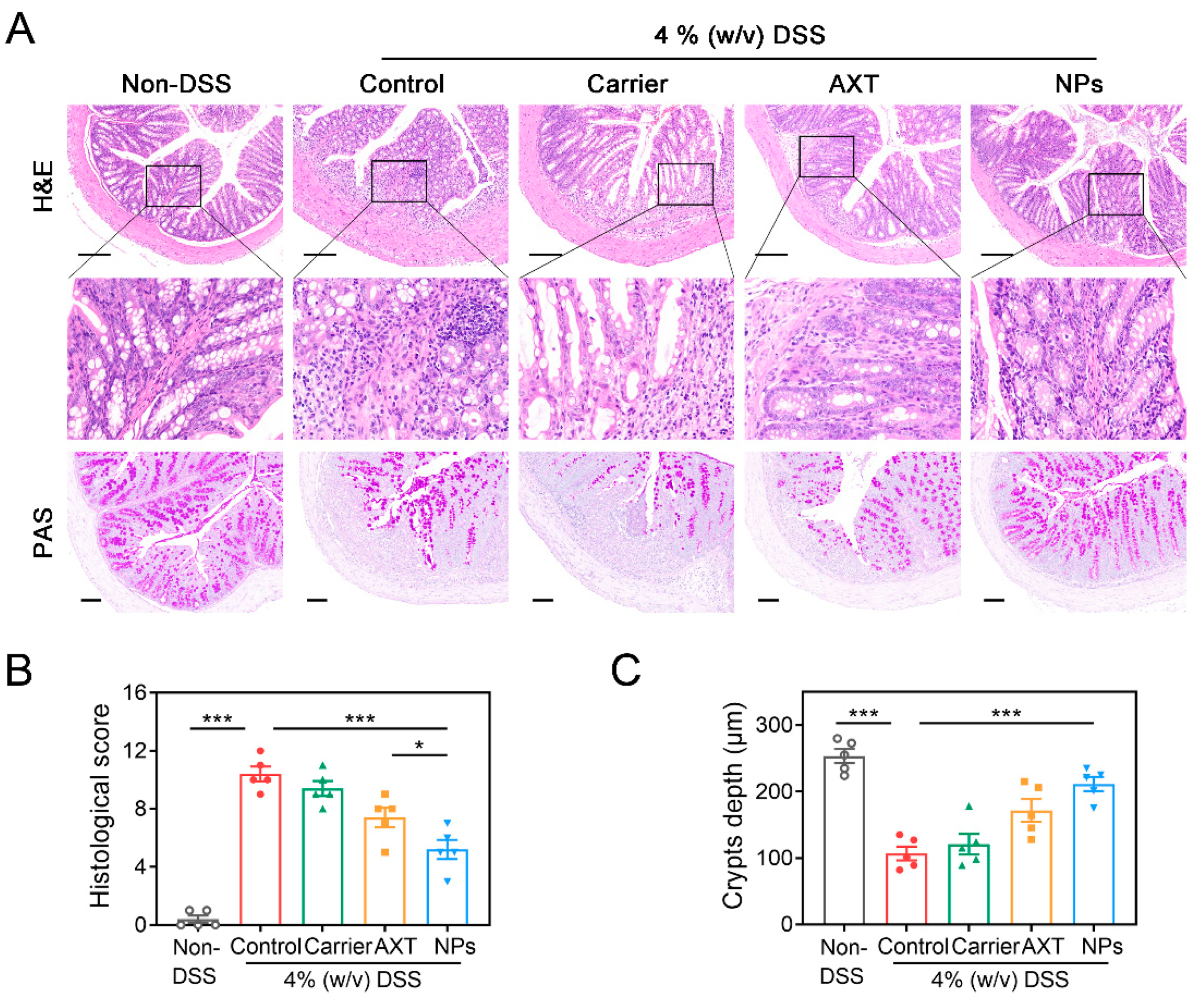 Molecules 29 01291 g005