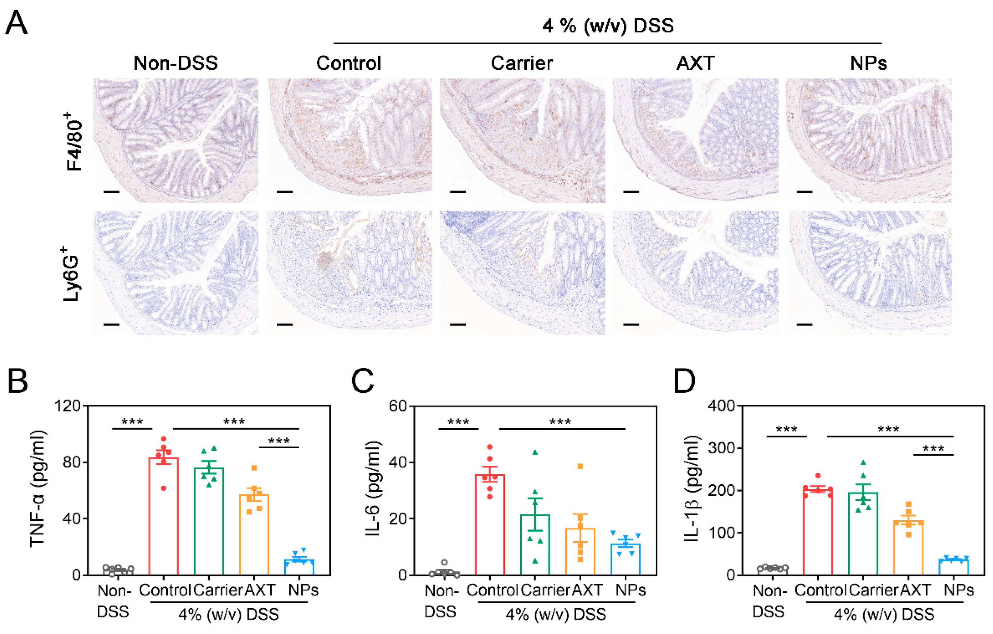 Molecules 29 01291 g006